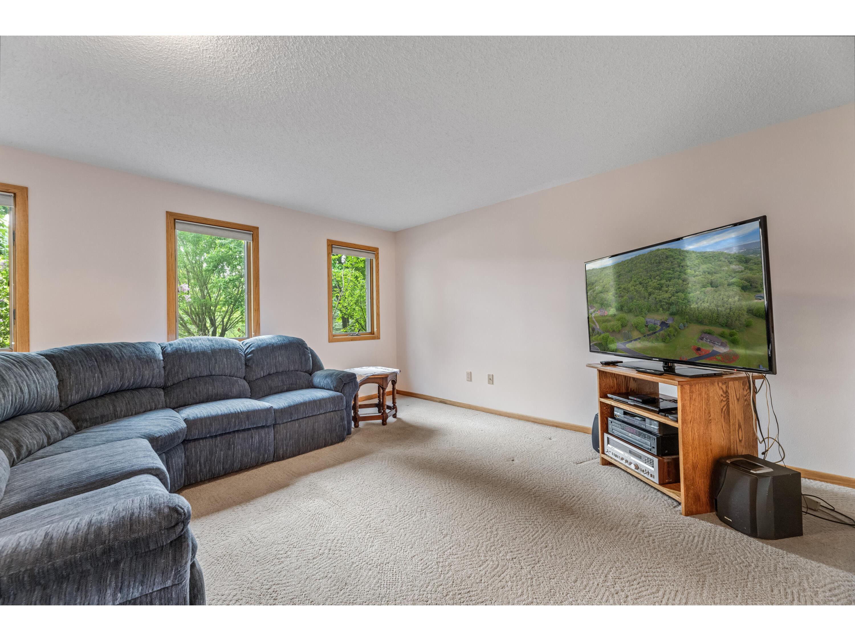 718 Spring Brook Wilson MN 55987 1963144 image28