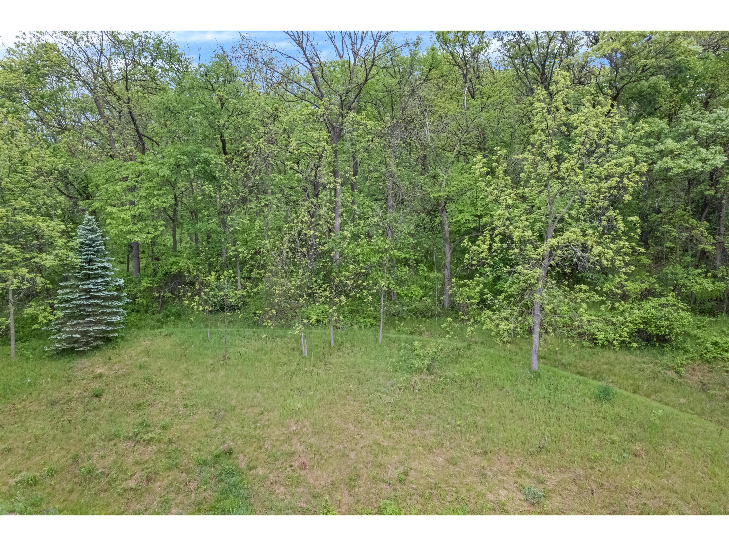 718 Spring Brook Wilson MN 55987 1963144 image37