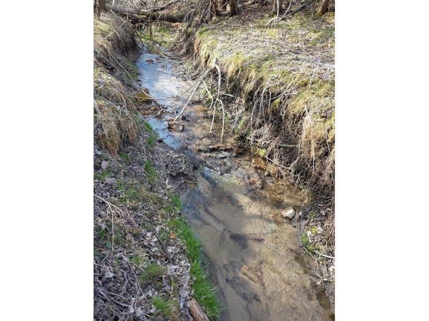7208 Kate Leon WI 54656 1962614 image65