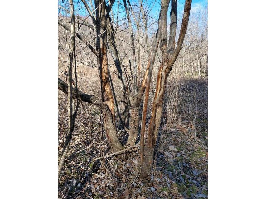 7208 Kate Leon WI 54656 1962614 image67