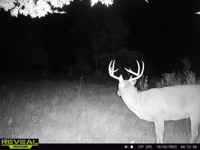 7516 Dalton Little Falls WI 54656 1852687 image1