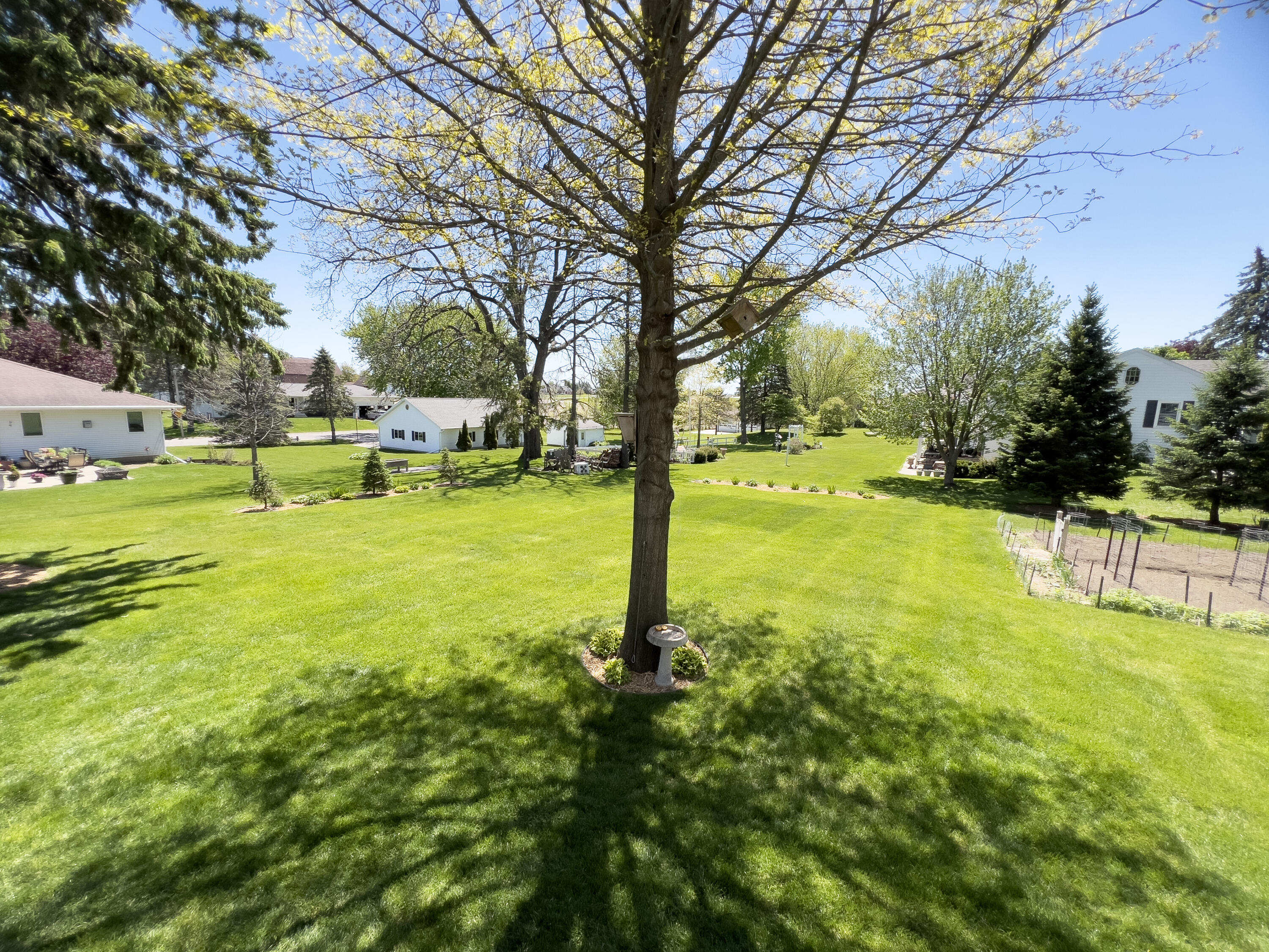 803 Pine Caledonia MN 55921 1968905 image5