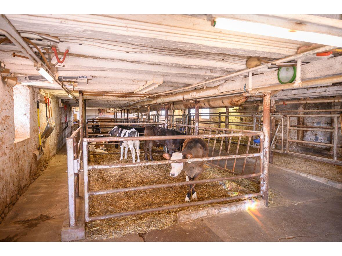 8223 Middle Wilson WI 53070 1958900 image45