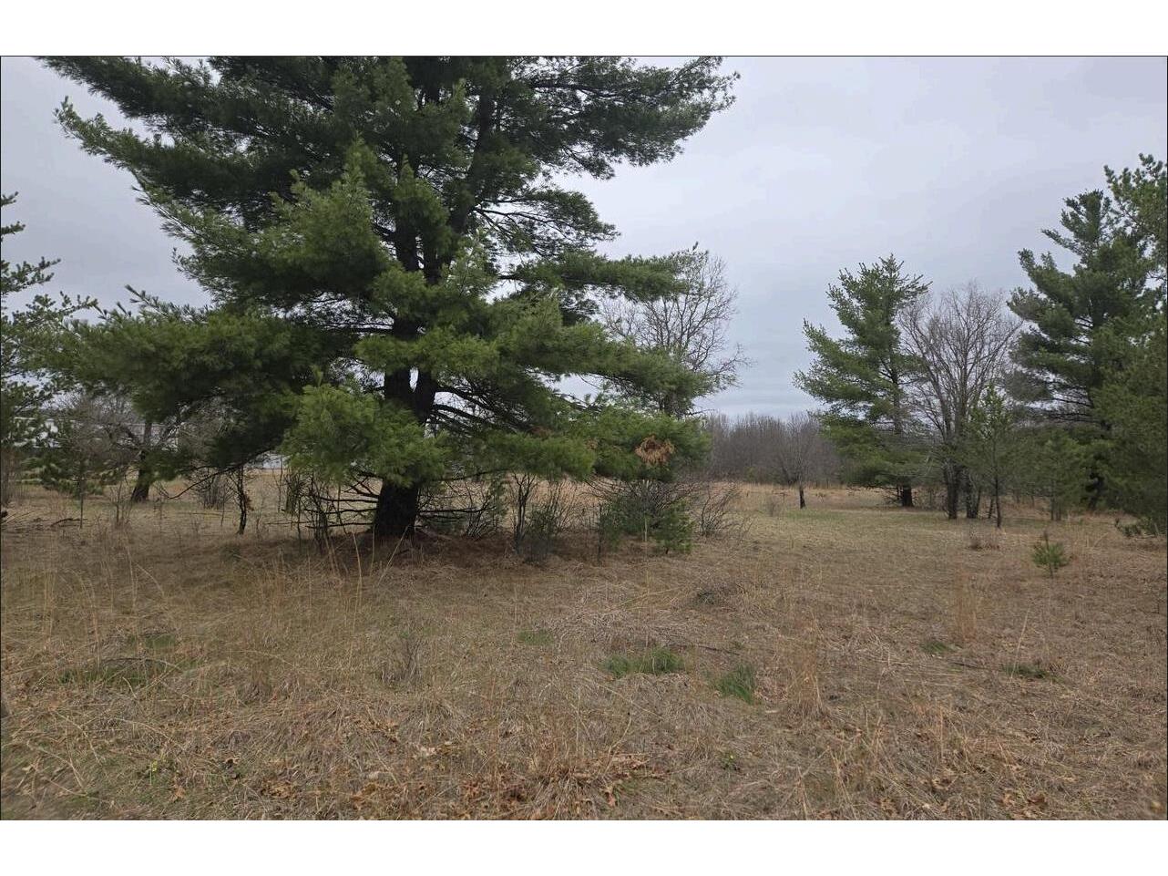 826 County Road C Big Flats WI 54943 1969494 image1
