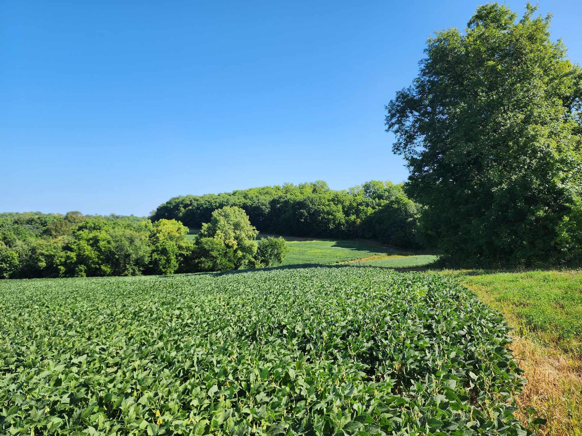 00 State Highway 82 Wheatland WI 54624 1852252 image1