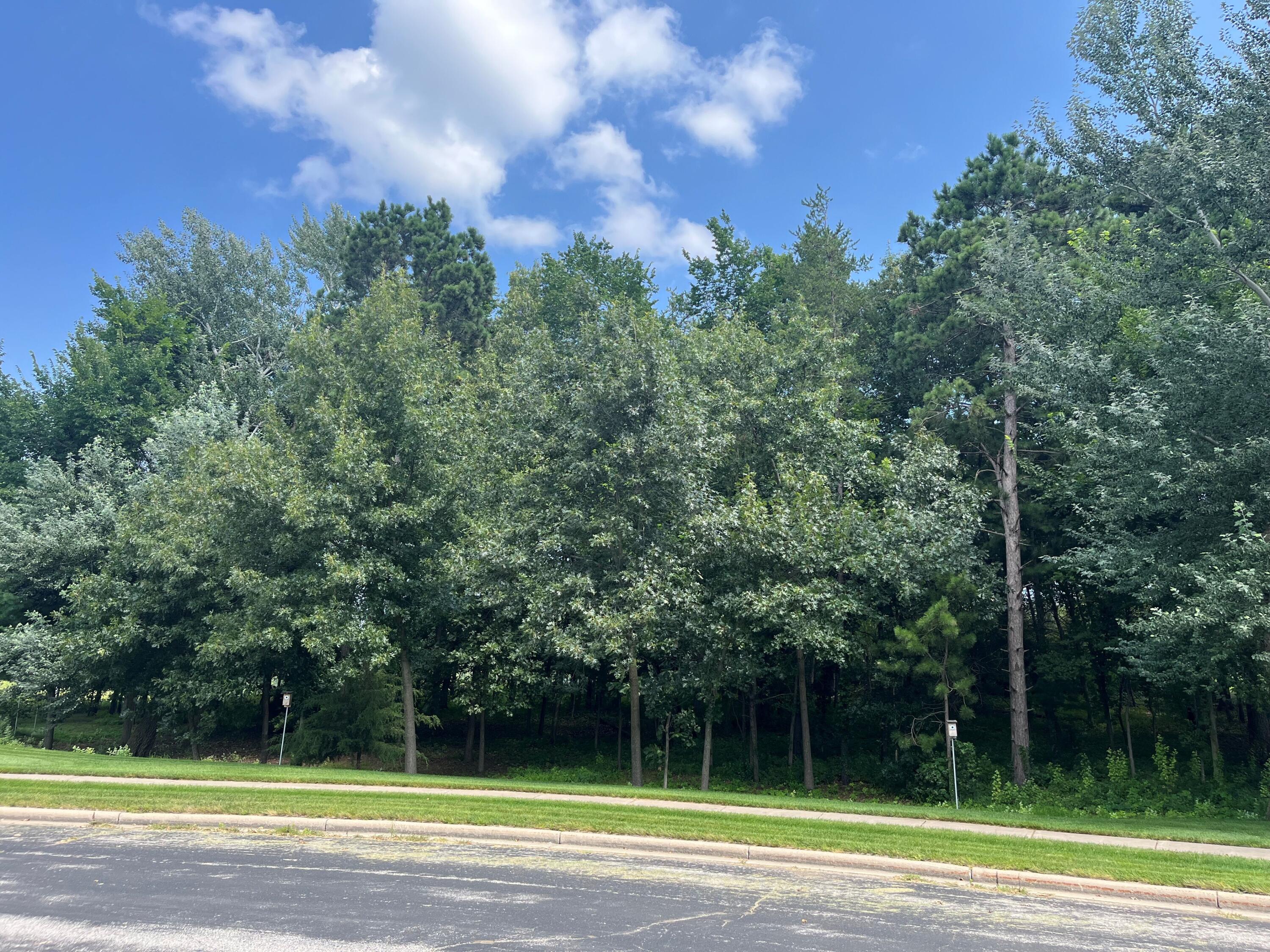 903 Pine Cone Holmen WI 54636 1929851 image1