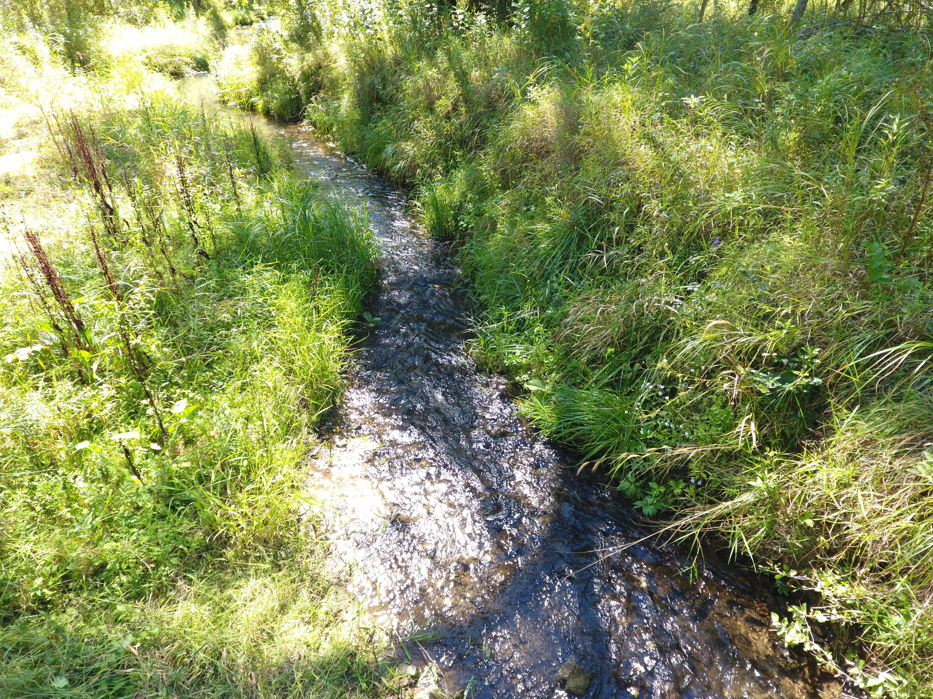 E10408 S Elk Run Webster WI 54664 - Elk Run Stream 1890425 image1