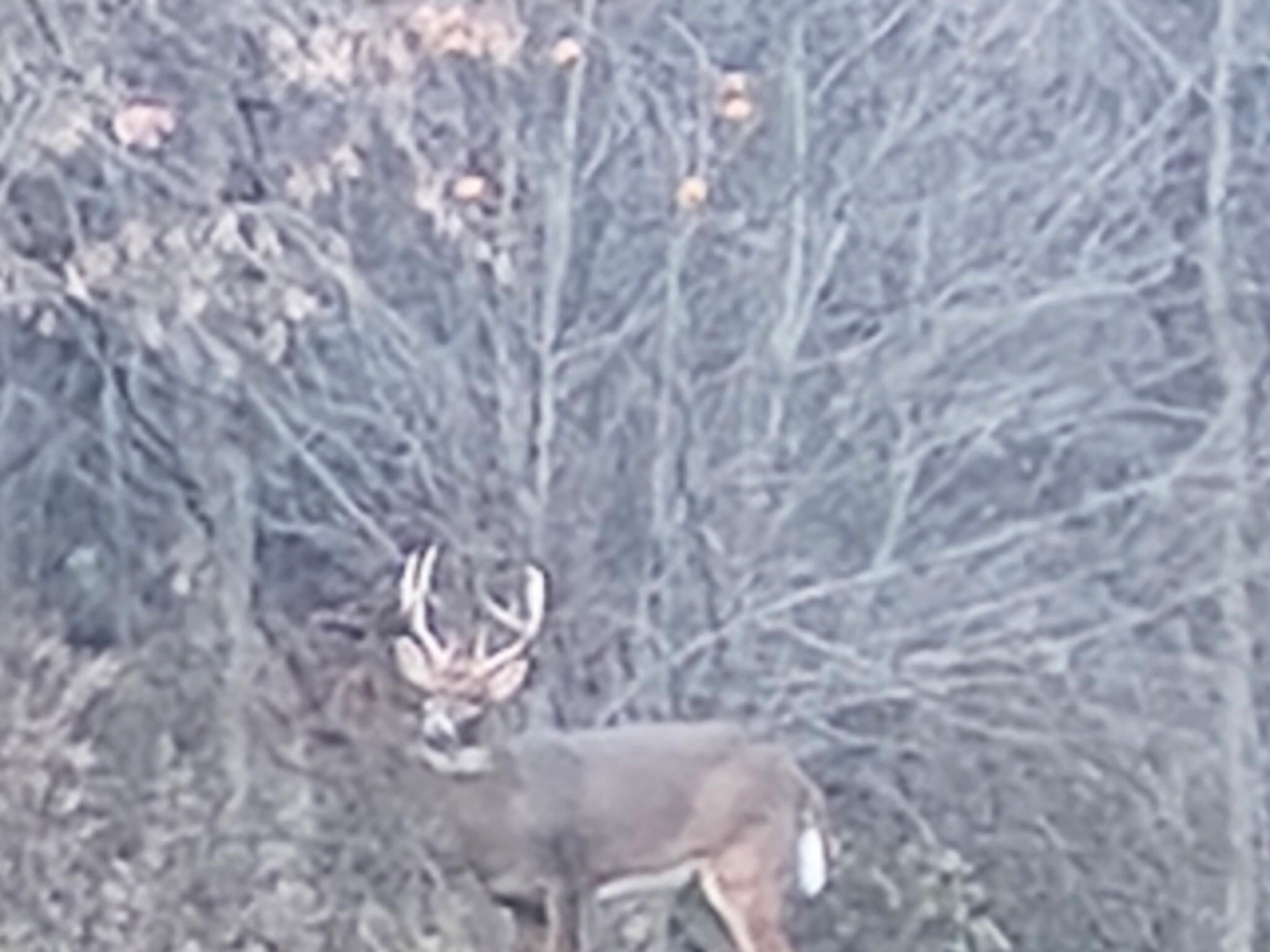 E10880 County Road P Clinton WI 54667 1955086 image37