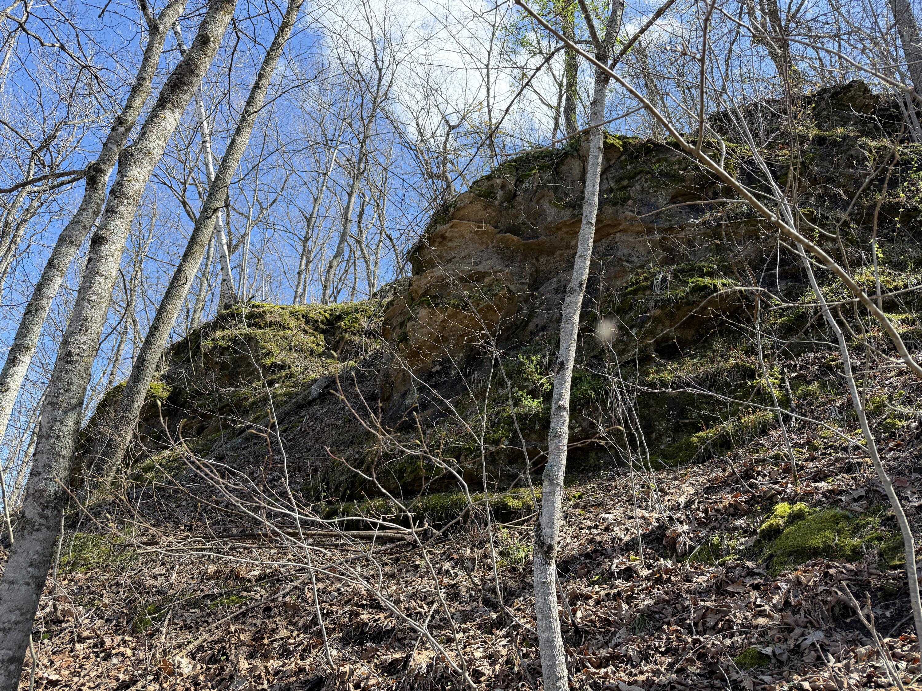 E11695 Chadwick Hollow Liberty WI 54664 - NATURAL SPRING 1958531 image29