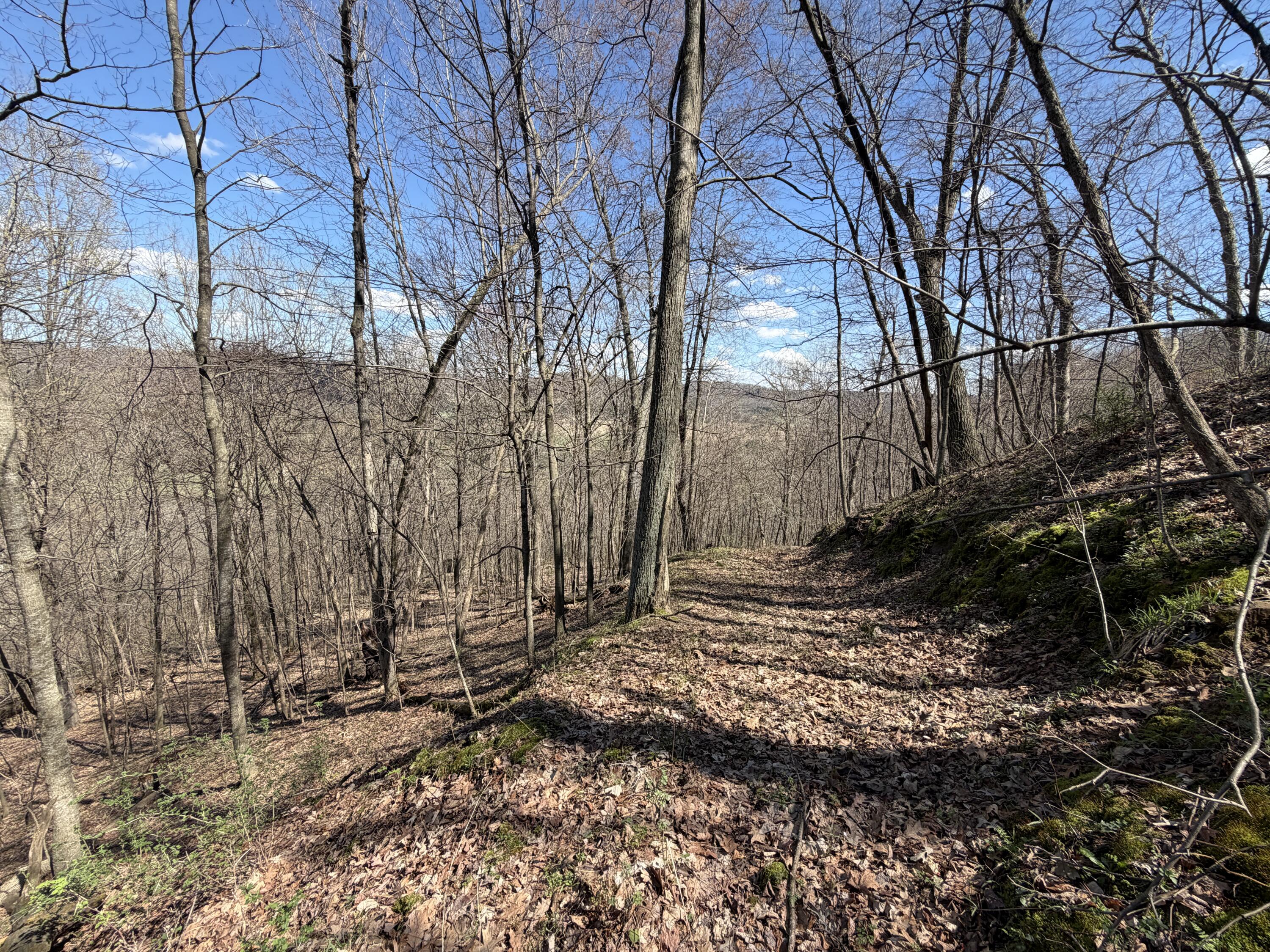 E11695 Chadwick Hollow Liberty WI 54664 - NATURAL SPRING 1958531 image31
