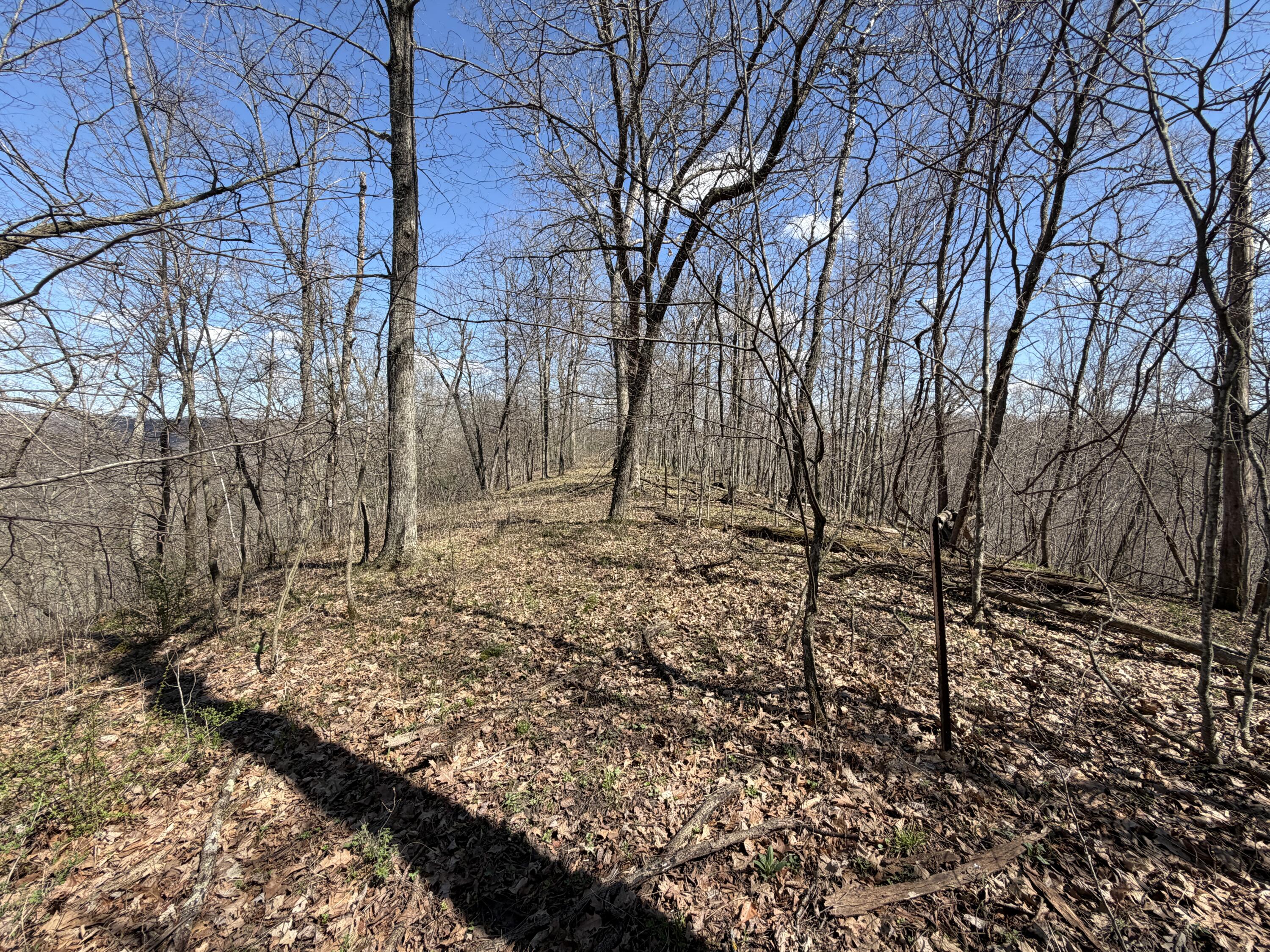 E11695 Chadwick Hollow Liberty WI 54664 - NATURAL SPRING 1958531 image33