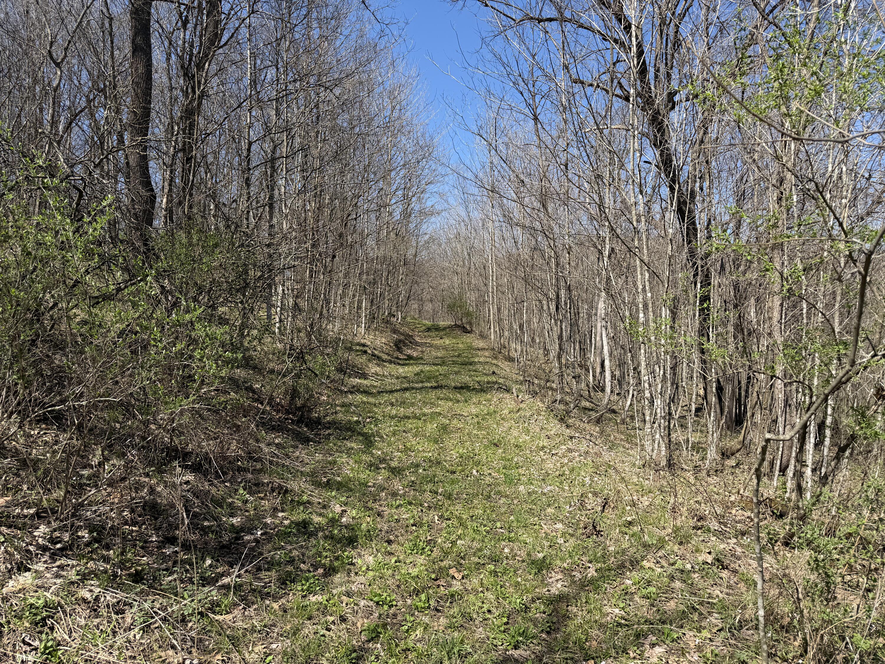 E11695 Chadwick Hollow Liberty WI 54664 - NATURAL SPRING 1958531 image37