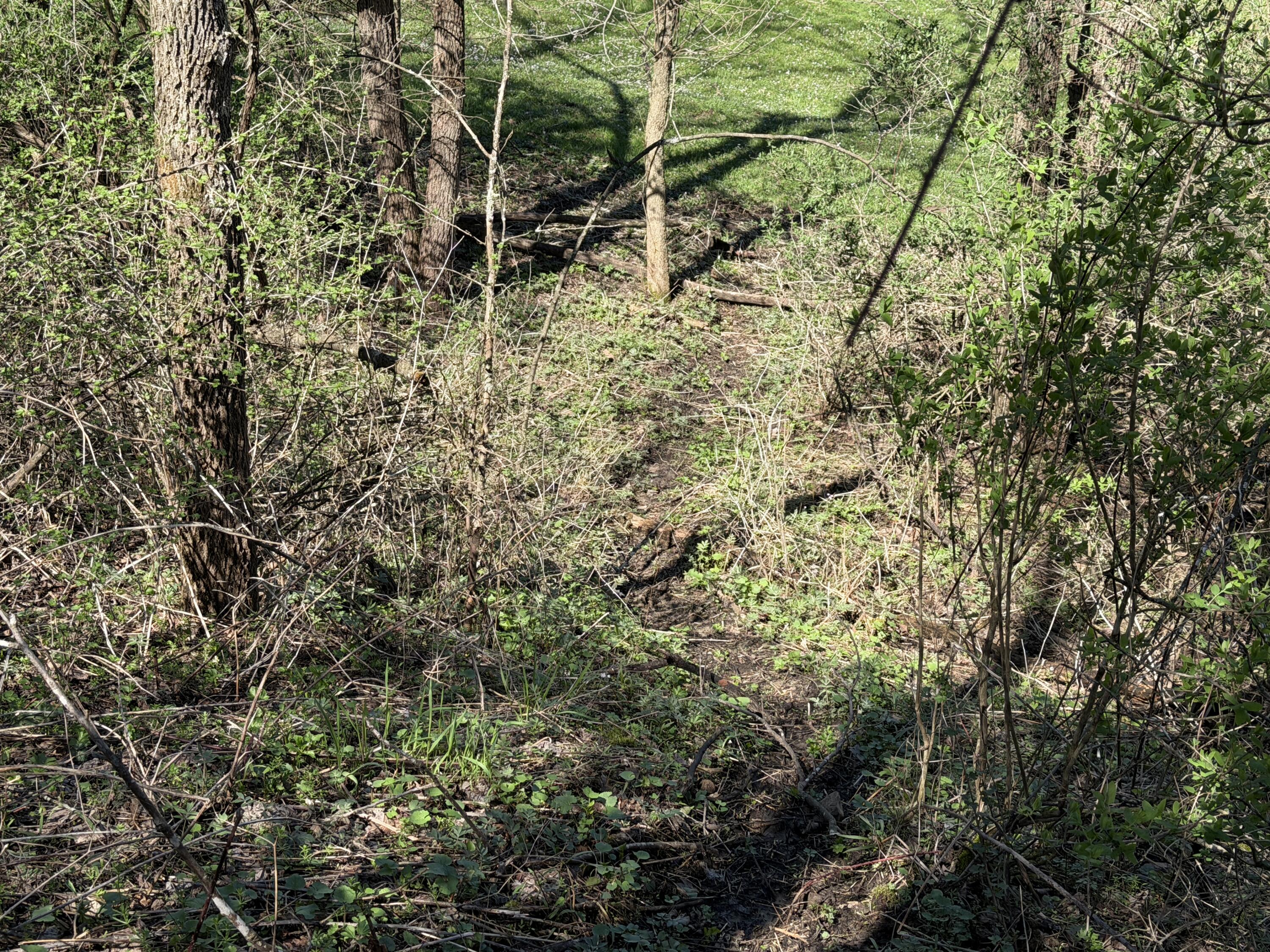E11695 Chadwick Hollow Liberty WI 54664 - NATURAL SPRING 1958531 image39