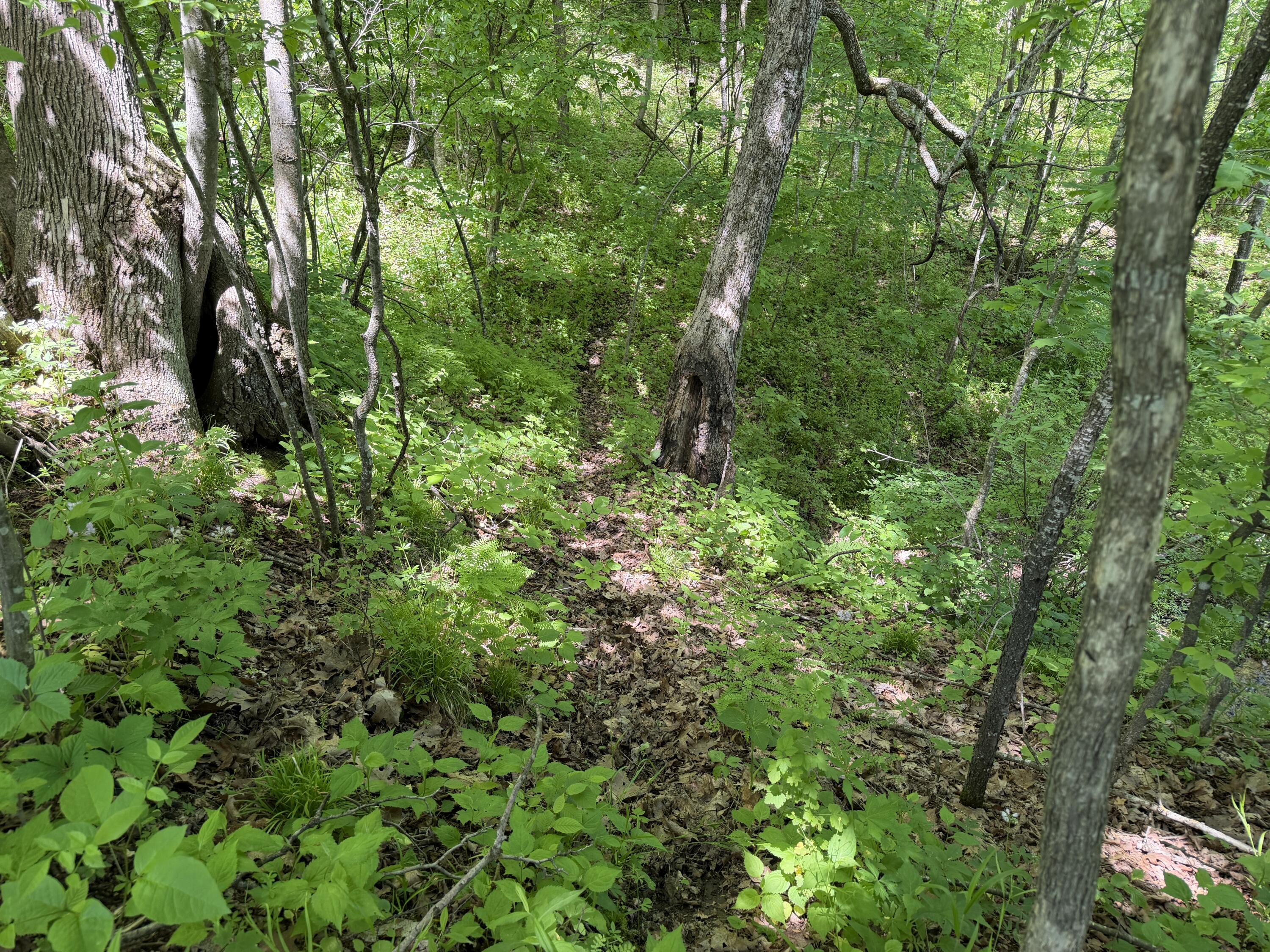 E11695 Chadwick Hollow Liberty WI 54664 - NATURAL SPRING 1958531 image40