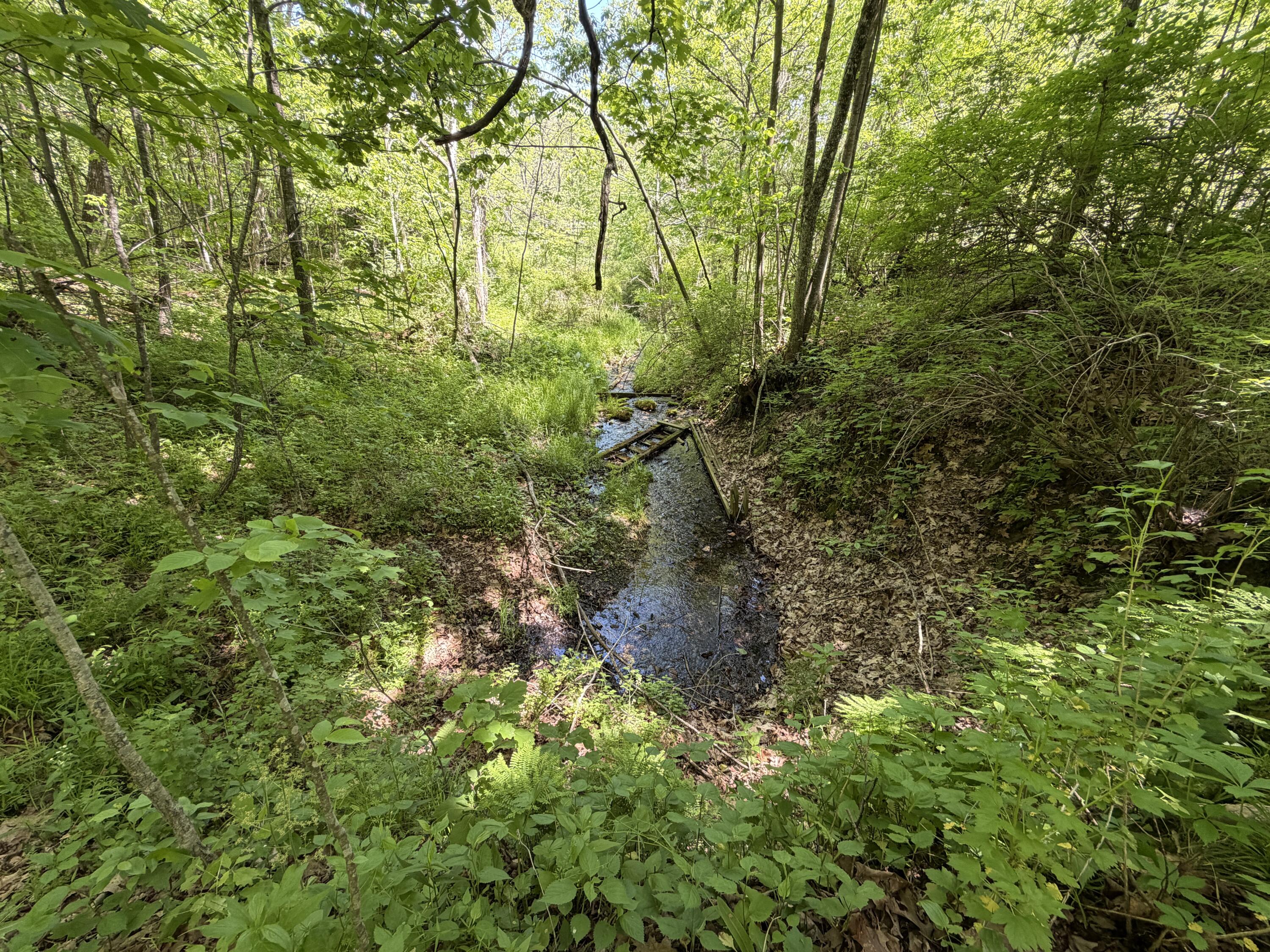 E11695 Chadwick Hollow Liberty WI 54664 - NATURAL SPRING 1958531 image42