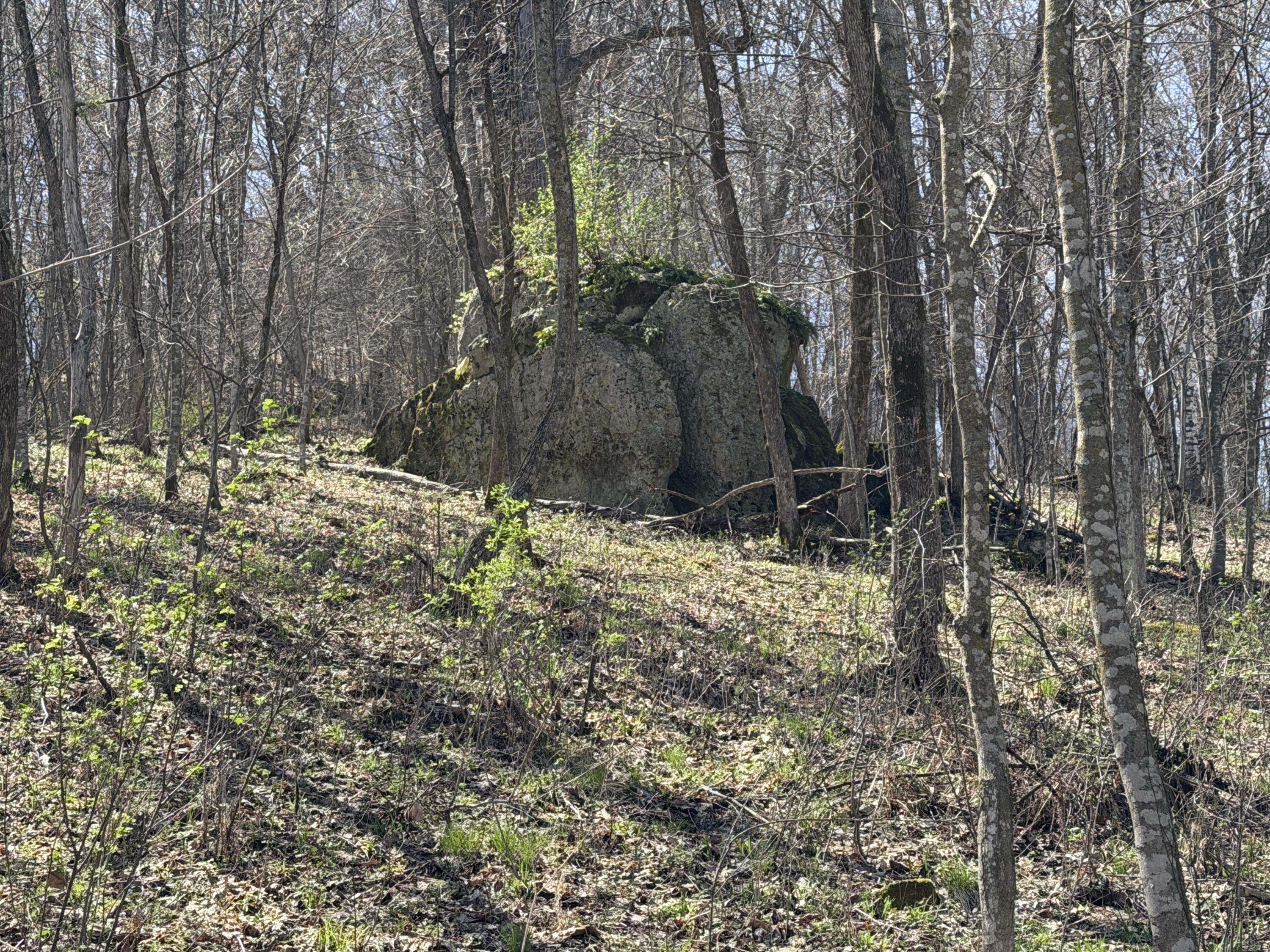E11695 Chadwick Hollow Liberty WI 54664 - NATURAL SPRING 1958531 image45
