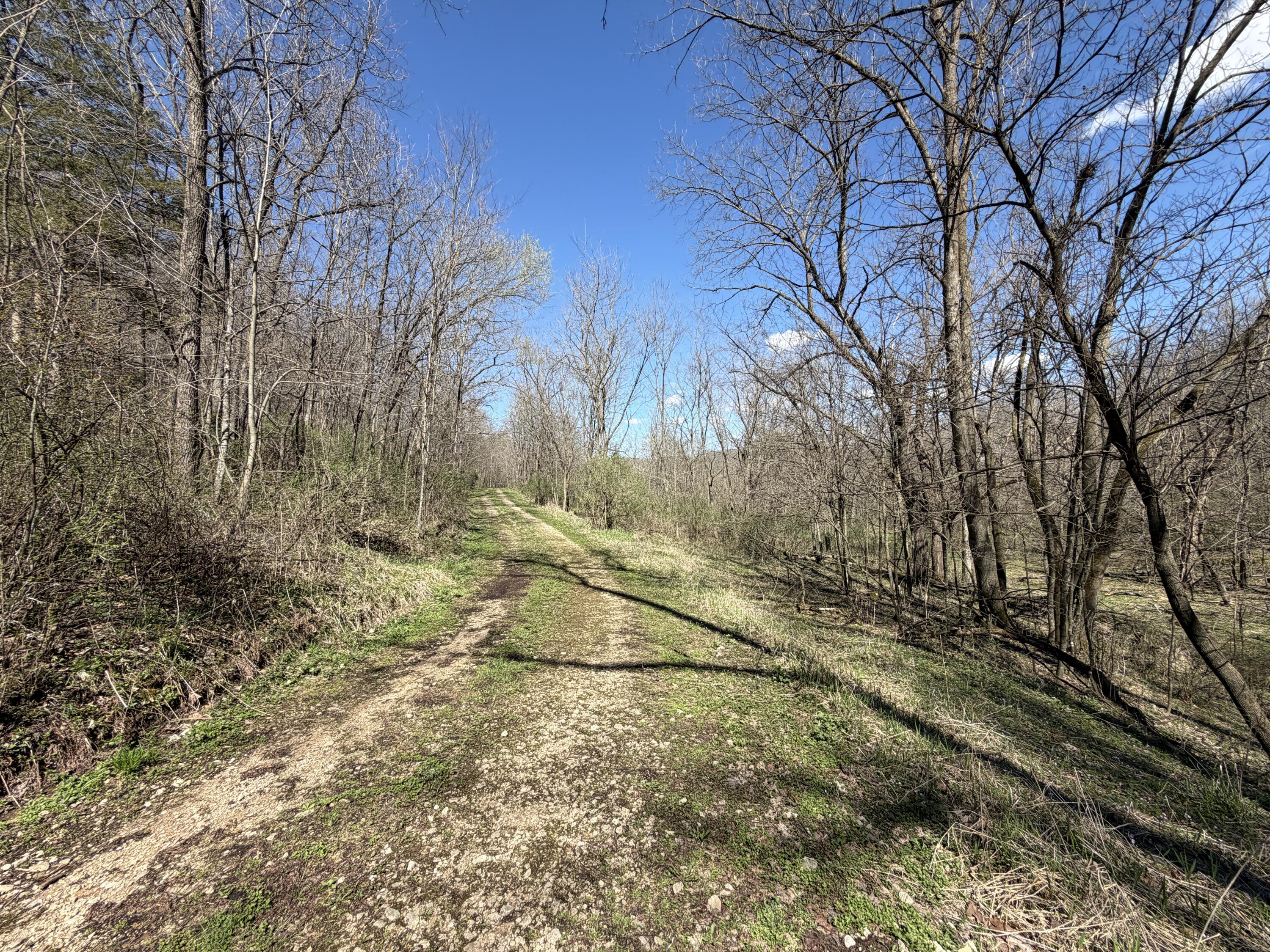 E11695 Chadwick Hollow Liberty WI 54664 - NATURAL SPRING 1958531 image49