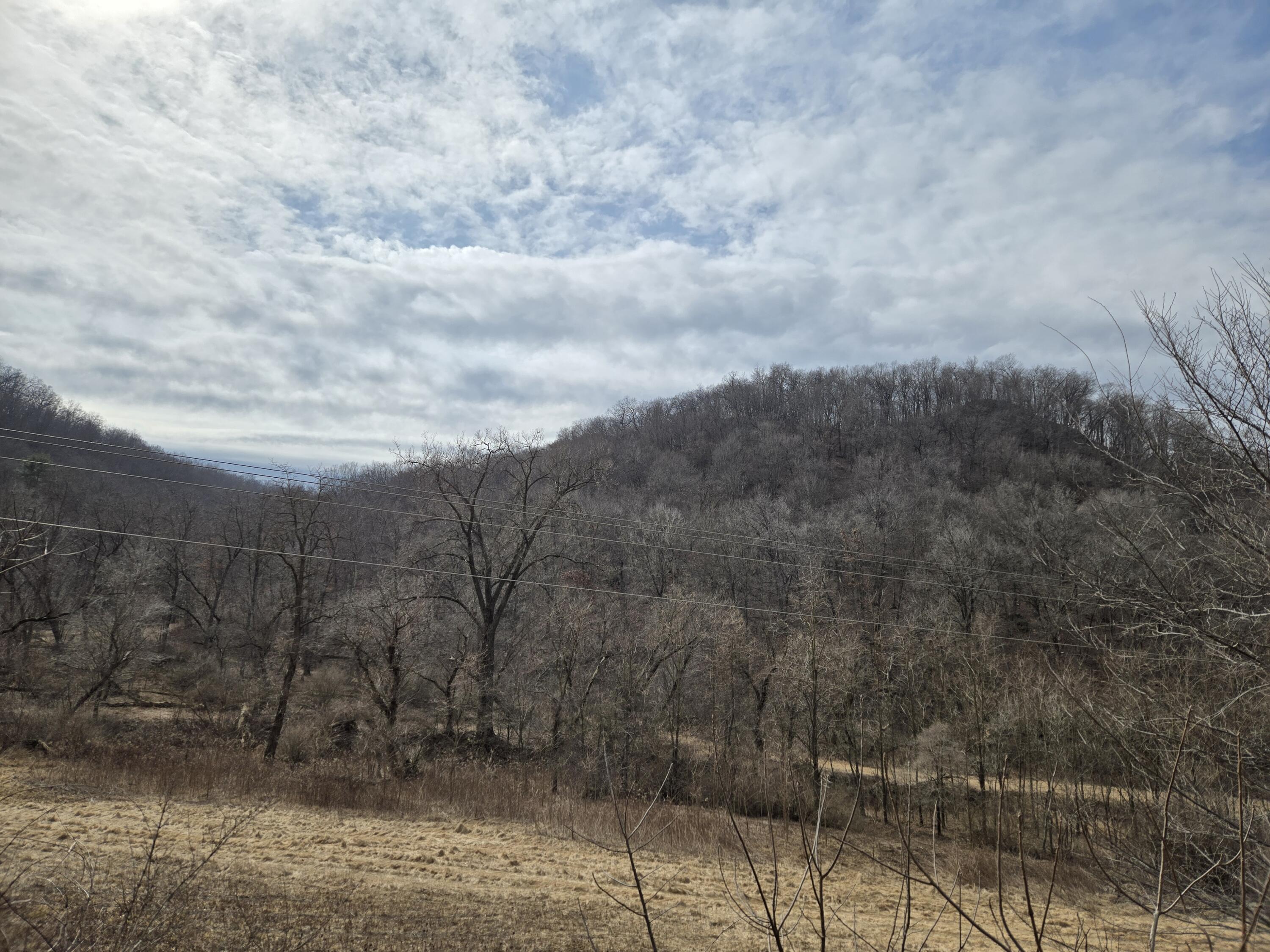 E4634 Dodson Hollow Rd Coon WI 54621 1908587 image1