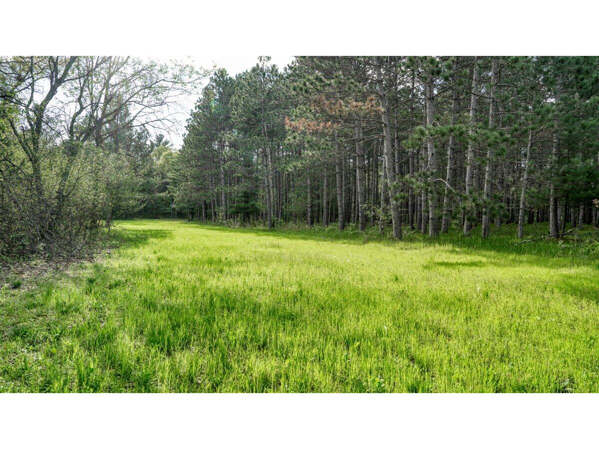 LOT 1 DELAWARE Lafayette WI 54656 1889467 image1