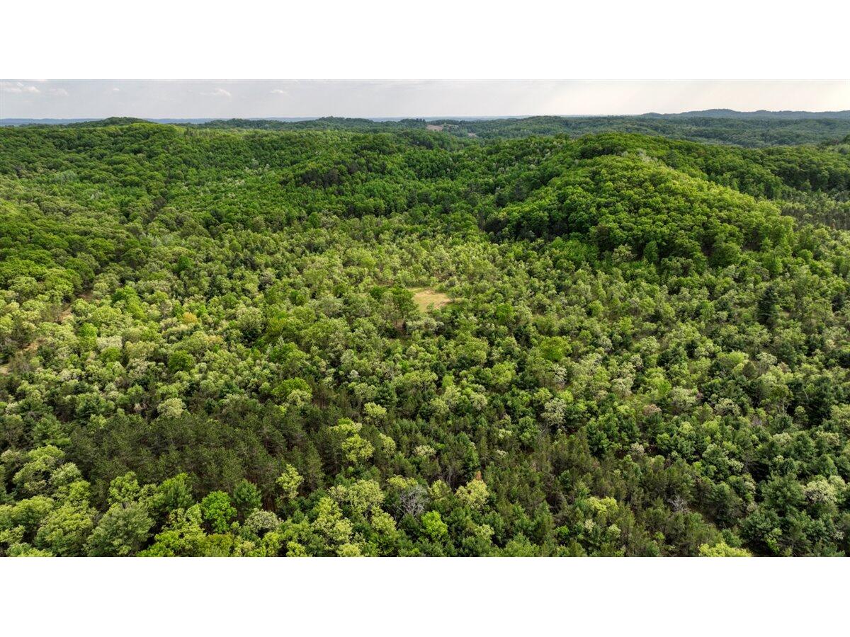 LOT 2 DELAWARE Lafayette WI 54656 1889468 image1