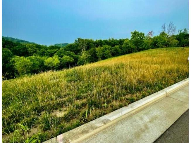 LT 47 Madison Heights Onalaska WI 54650 1885545 image1