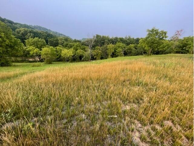 LT 50 Madison Heights Onalaska WI 54650 1843782 image1