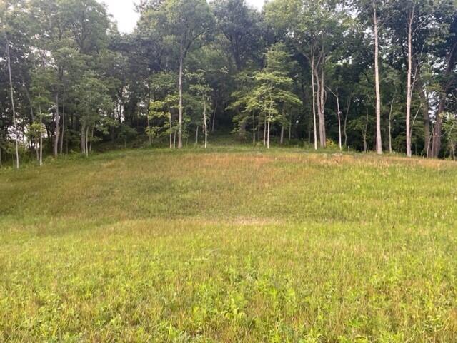 LT 52 Madison Heights Onalaska WI 54650 1931951 image3