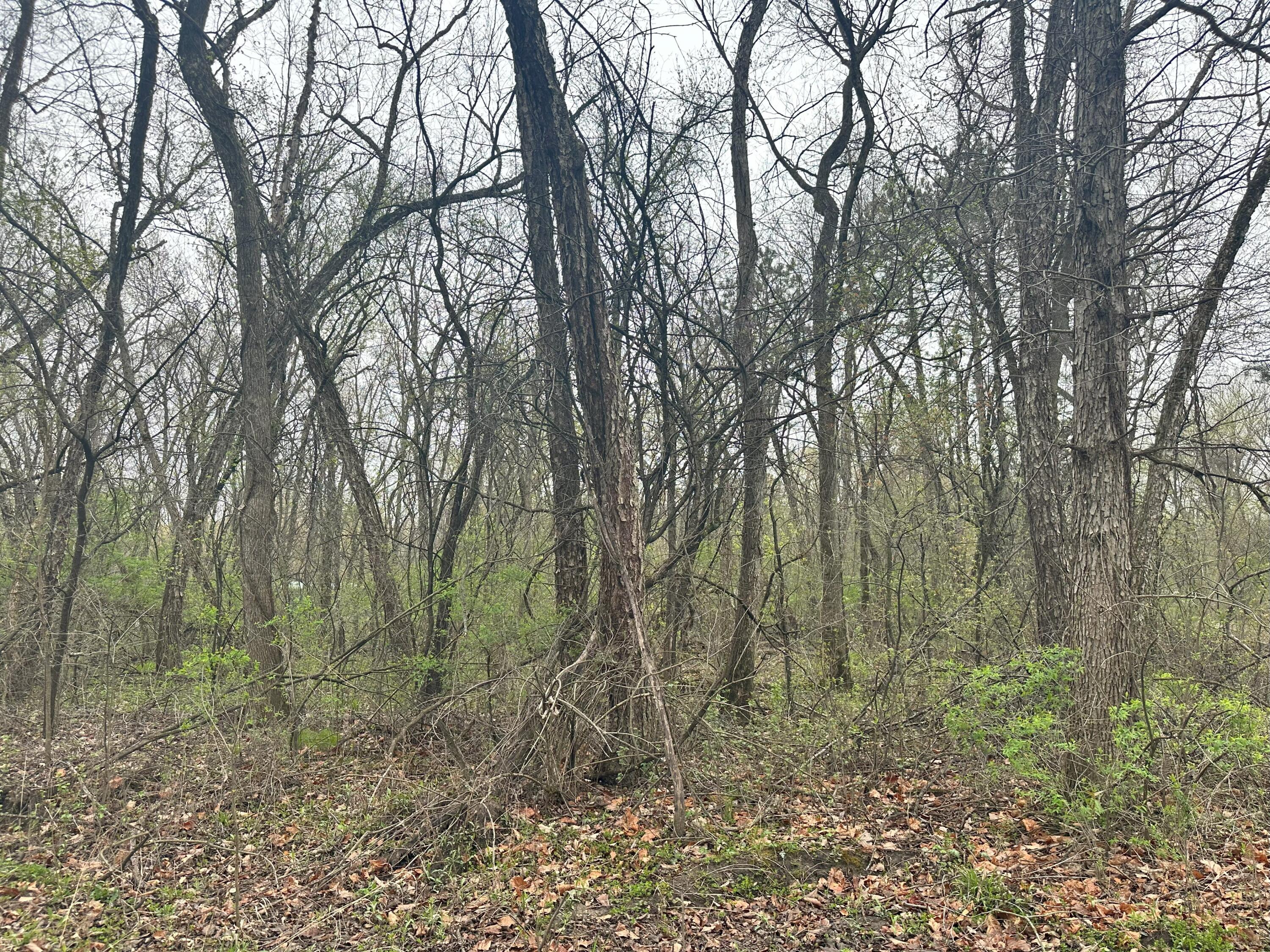 Lot 0 Catfish Trempealeau WI 54661 1918360 image3