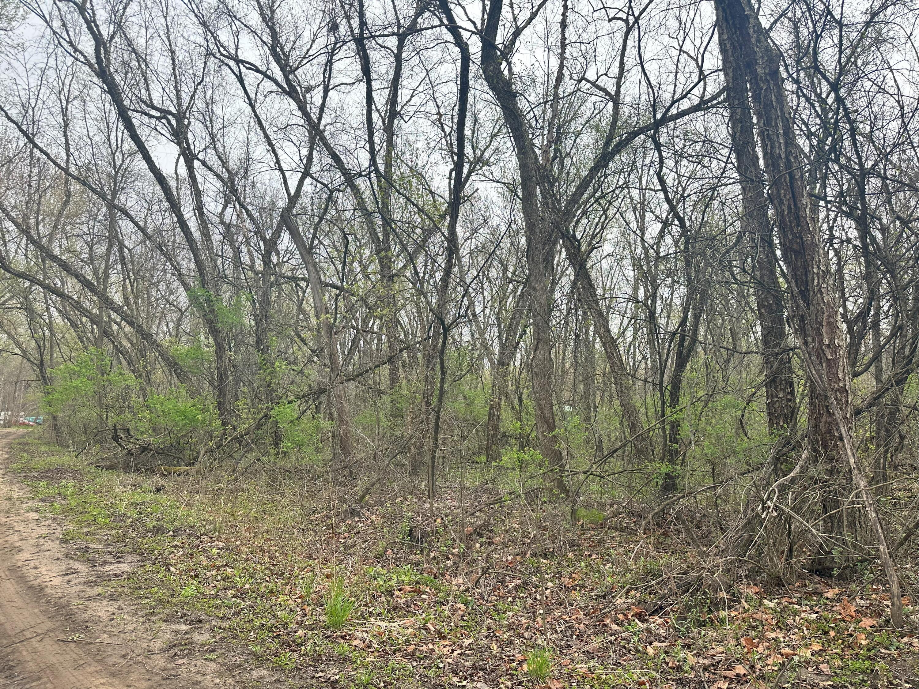 Lot 0 Catfish Trempealeau WI 54661 1964970 image1