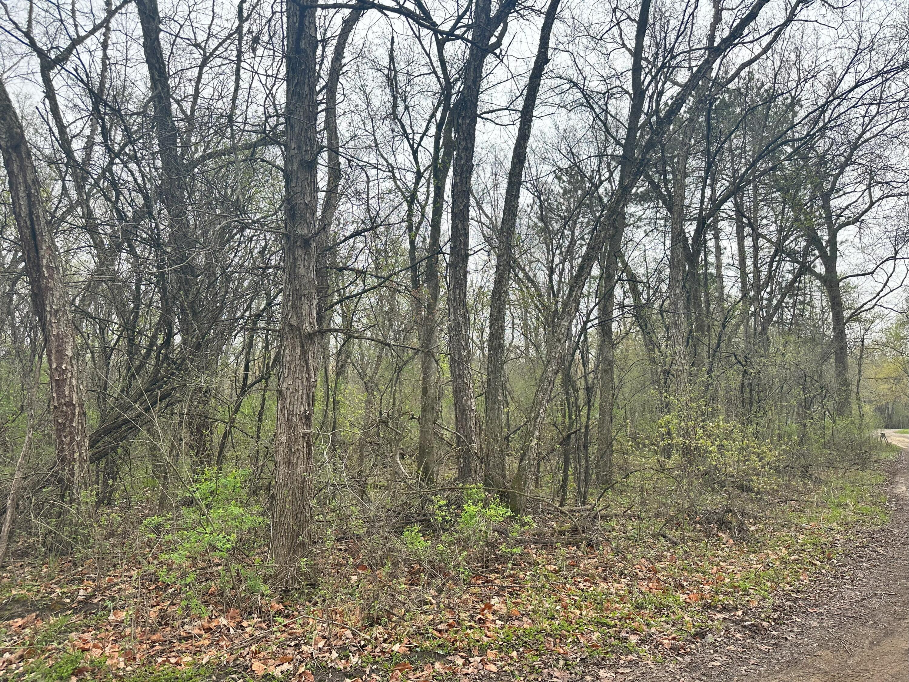 Lot 0 Catfish Trempealeau WI 54661 1964970 image2