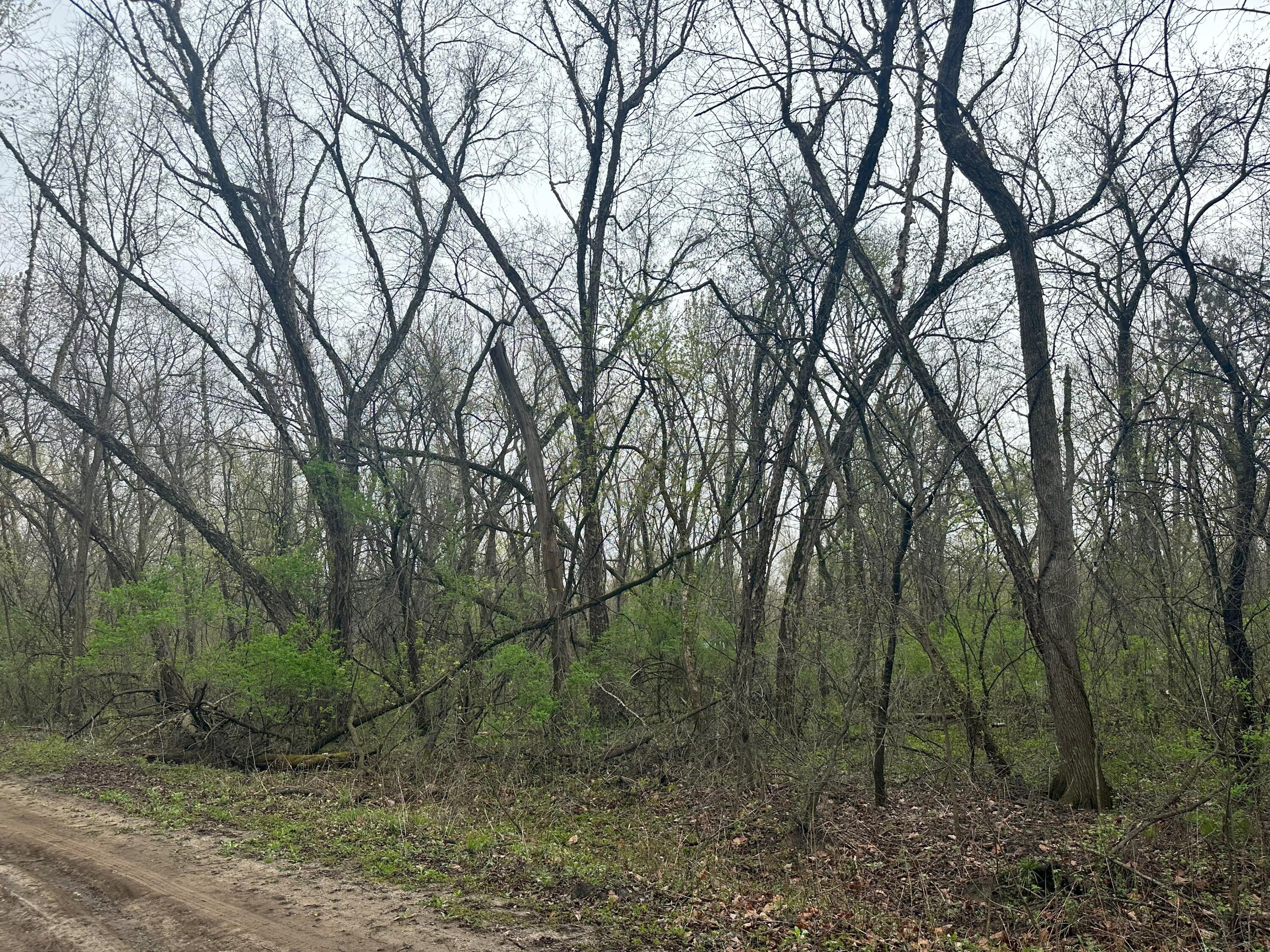 Lot 0 Catfish Trempealeau WI 54661 1964970 image6
