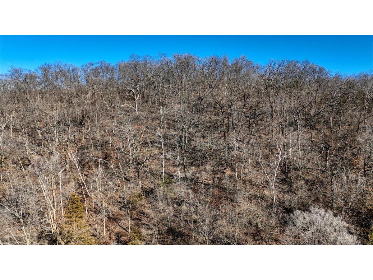 Lot 0 County Road S Watterstown WI 53805 1952774 image6