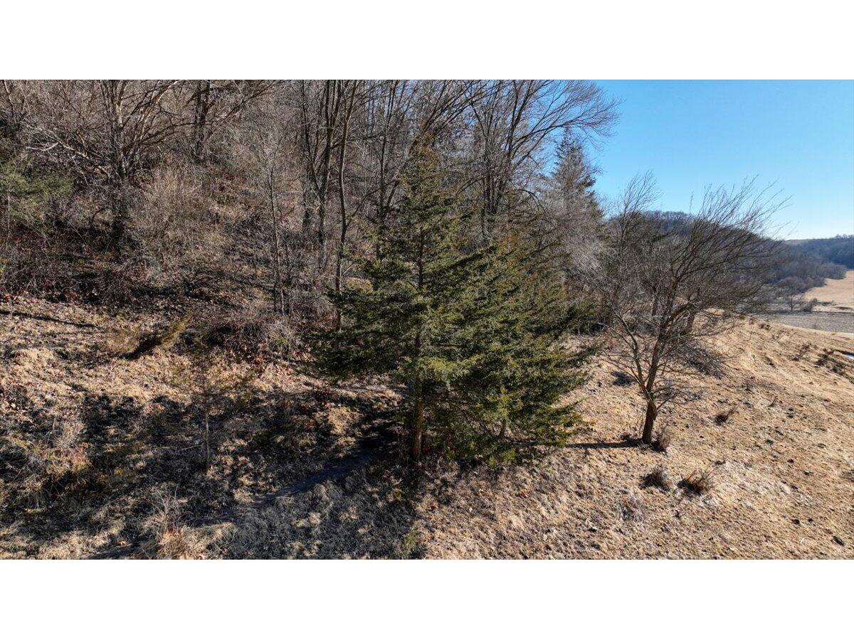 Lot 0 County Road S Watterstown WI 53805 1952774 image8
