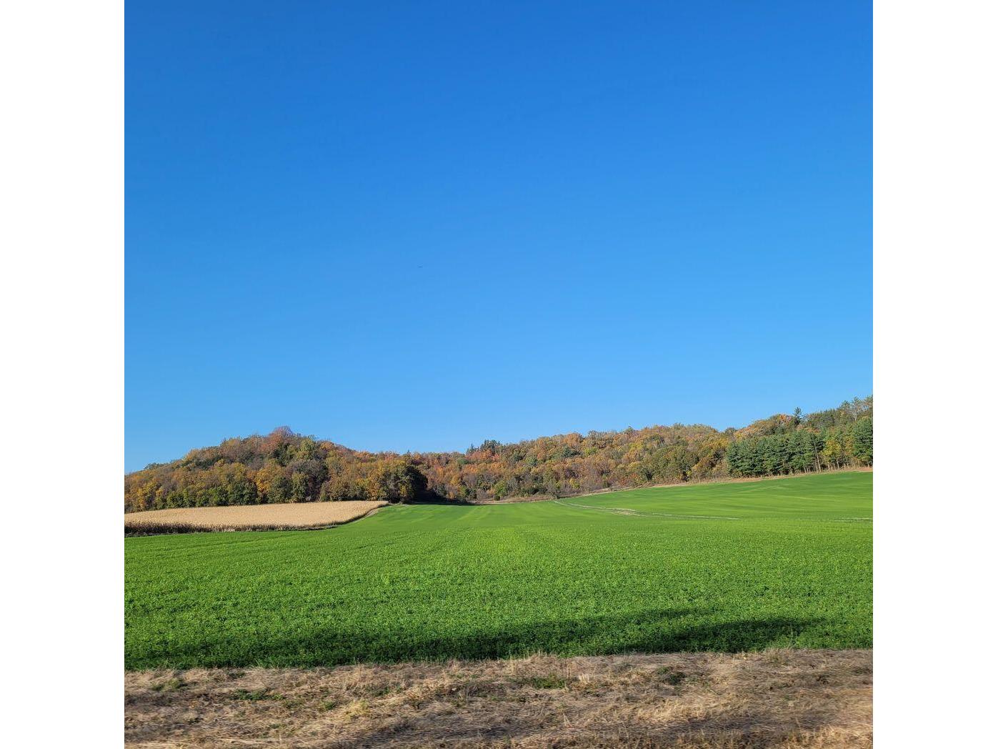 Lot 0 Hillcrest Greenbush WI 53073 1949384 image15