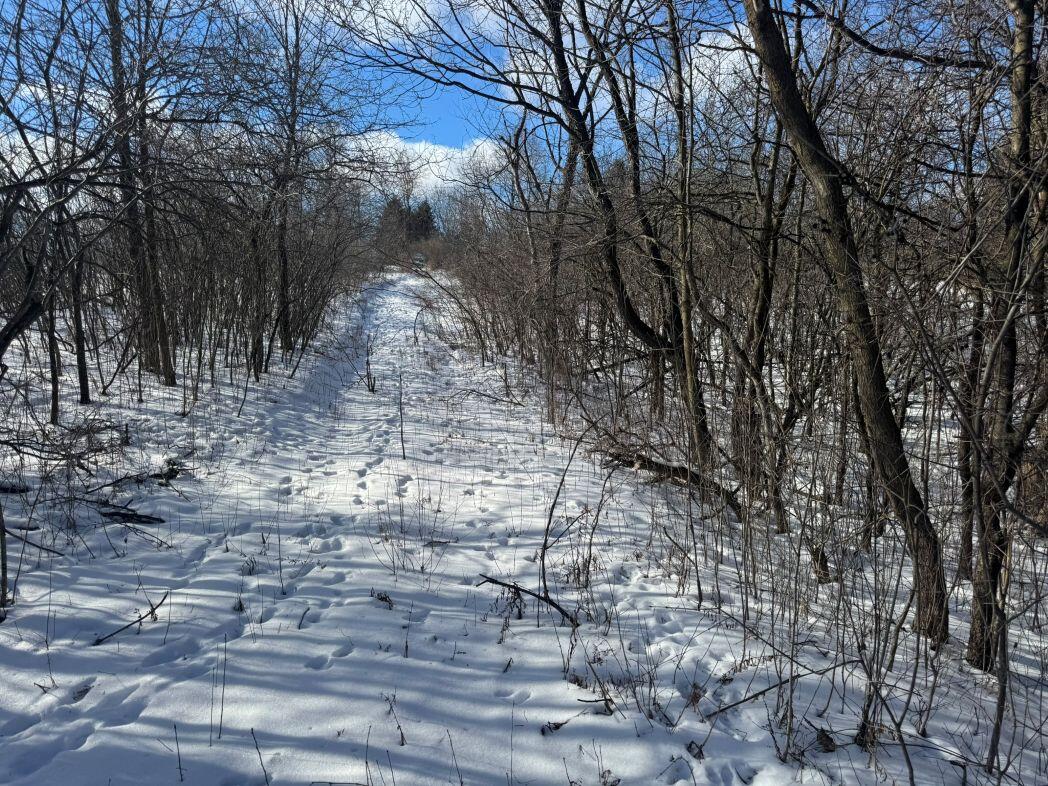 Lot 0 Hillcrest Greenbush WI 53073 1949384 image35