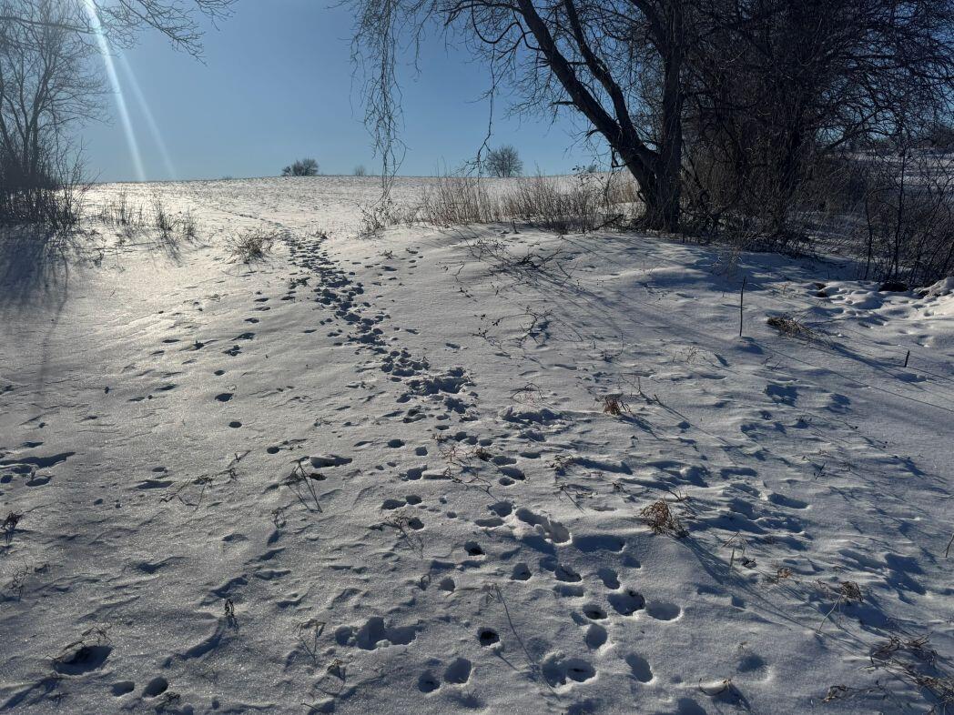 Lot 0 Hillcrest Greenbush WI 53073 1949384 image40