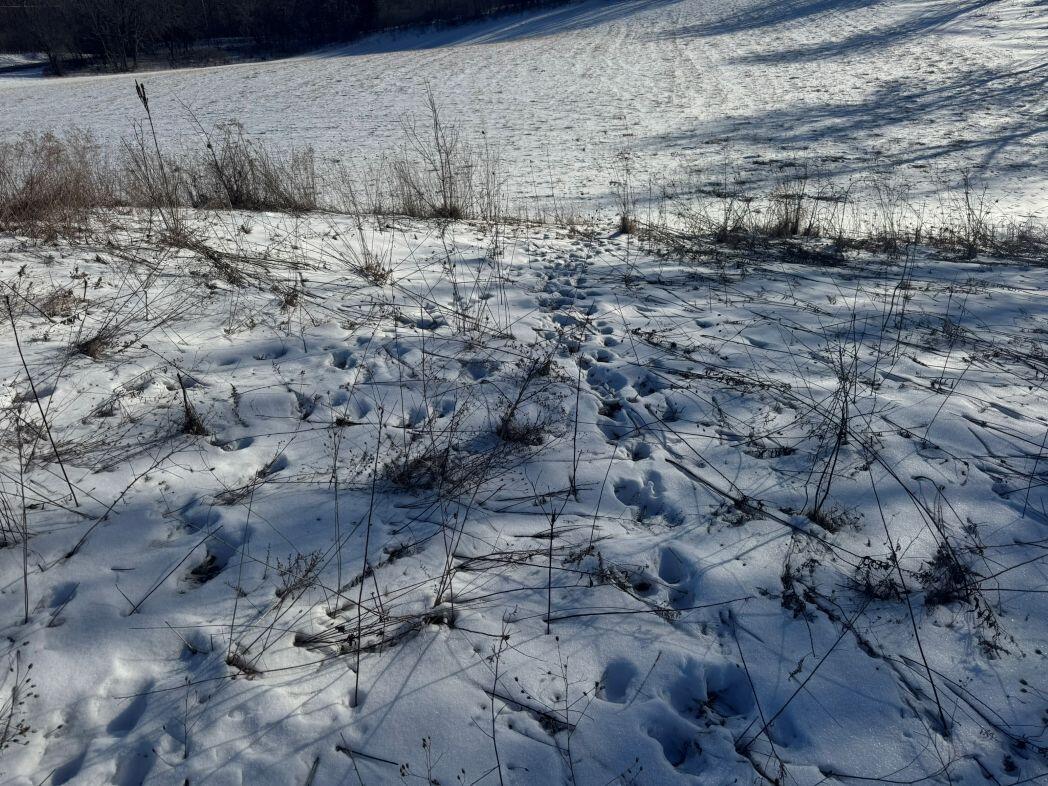 Lot 0 Hillcrest Greenbush WI 53073 1949384 image47