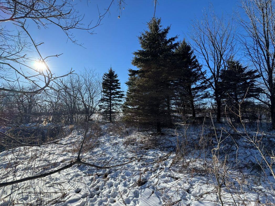 Lot 0 Hillcrest Greenbush WI 53073 1949384 image50