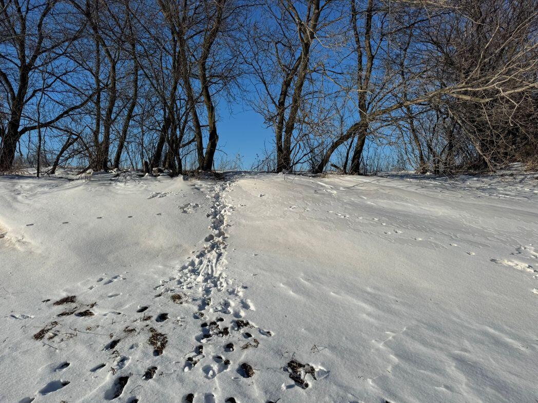 Lot 0 Hillcrest Greenbush WI 53073 1949384 image54