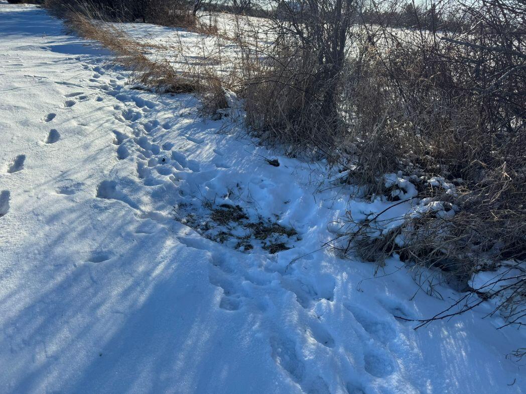 Lot 0 Hillcrest Greenbush WI 53073 1949384 image62
