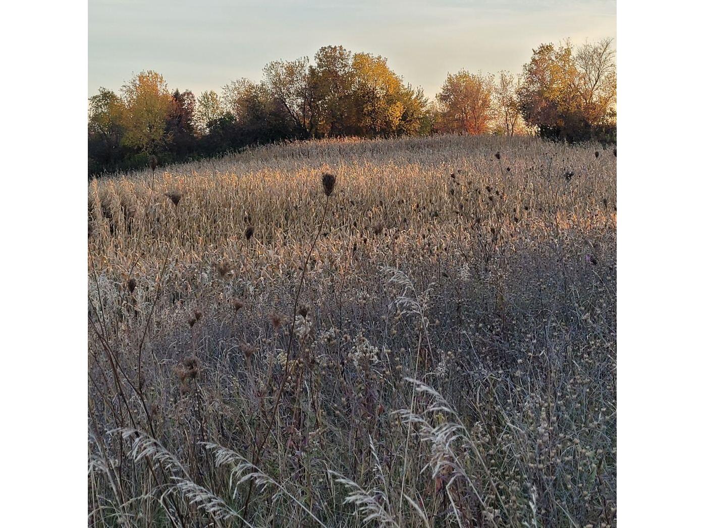 Lot 0 Hillcrest Greenbush WI 53073 1949384 image72