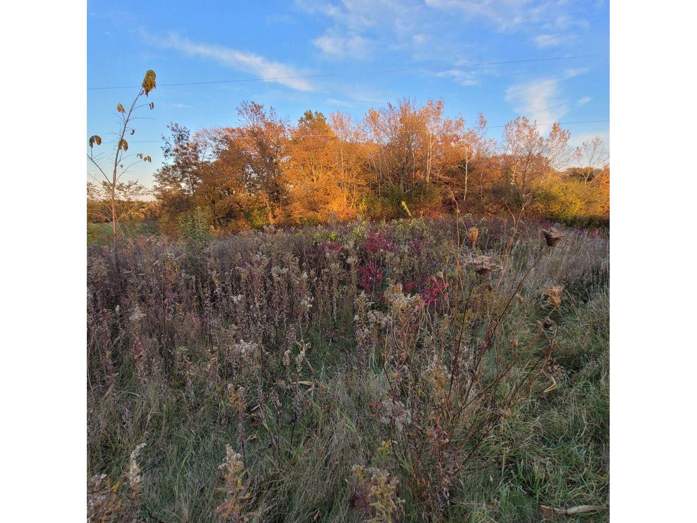 Lot 0 Hillcrest Greenbush WI 53073 1949384 image73
