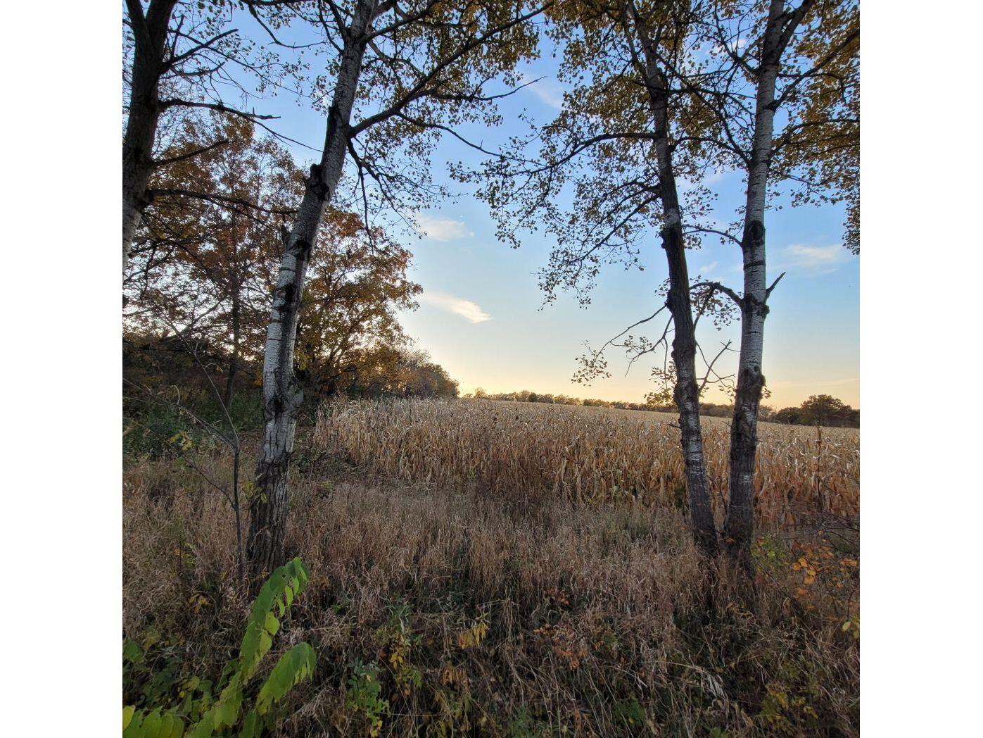 Lot 0 Hillcrest Greenbush WI 53073 1949384 image74