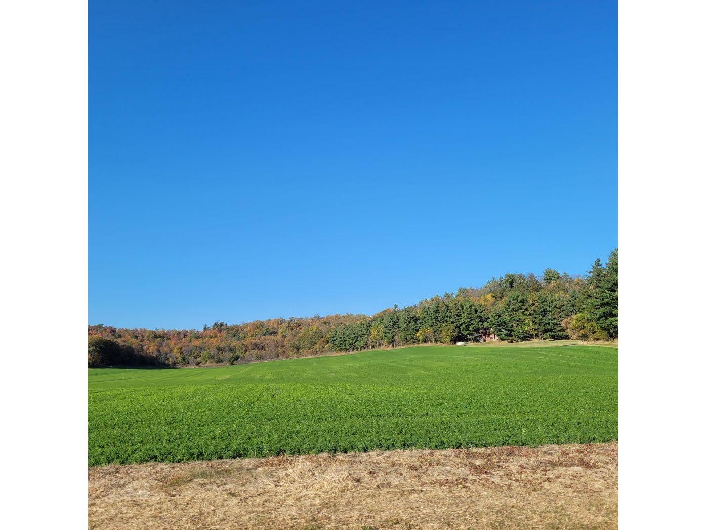 Lot 0 Hillcrest Greenbush WI 53073 1949384 image9
