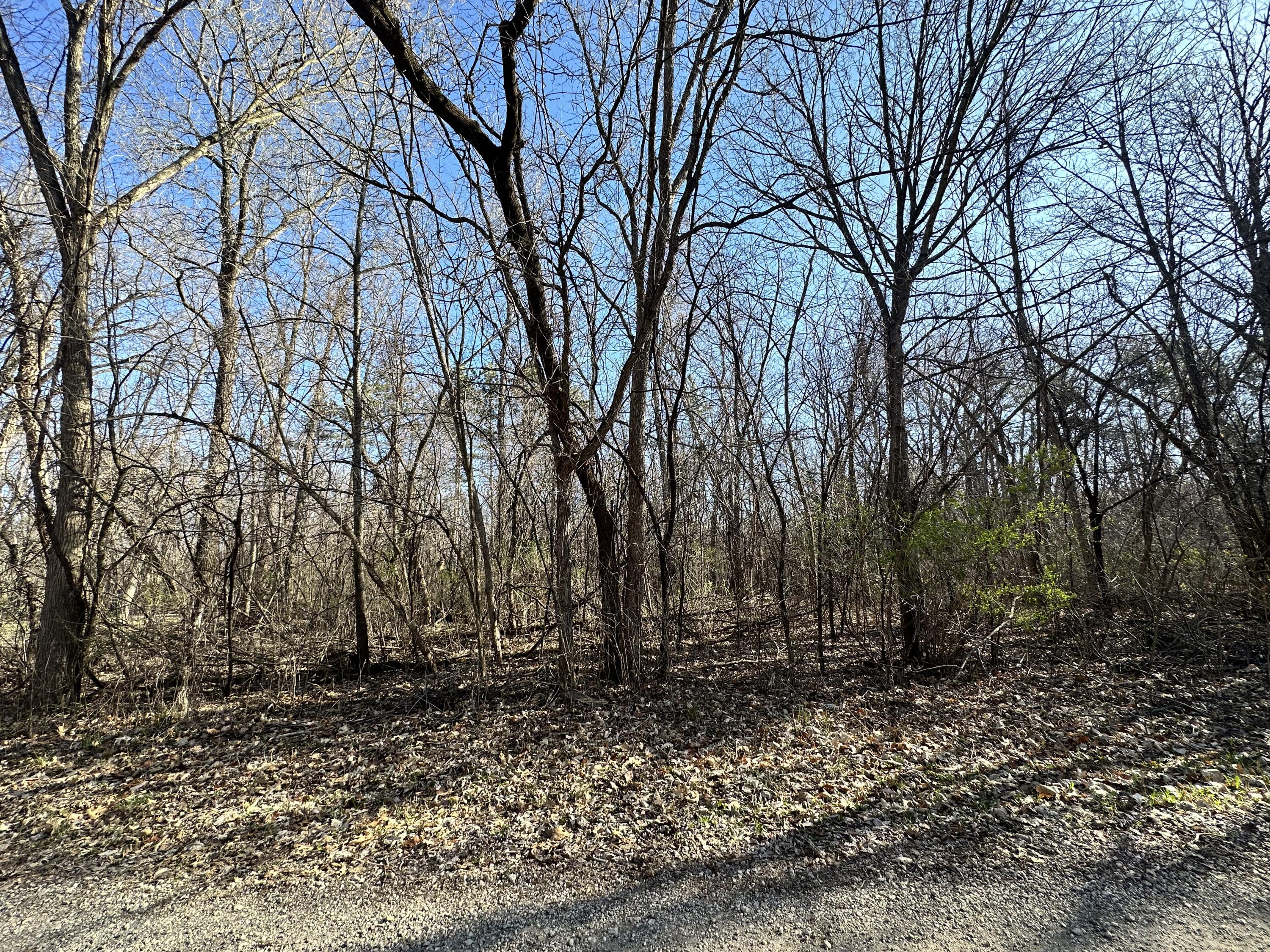 Lot 0 Skyking Trempealeau WI 54661 1871178 image1