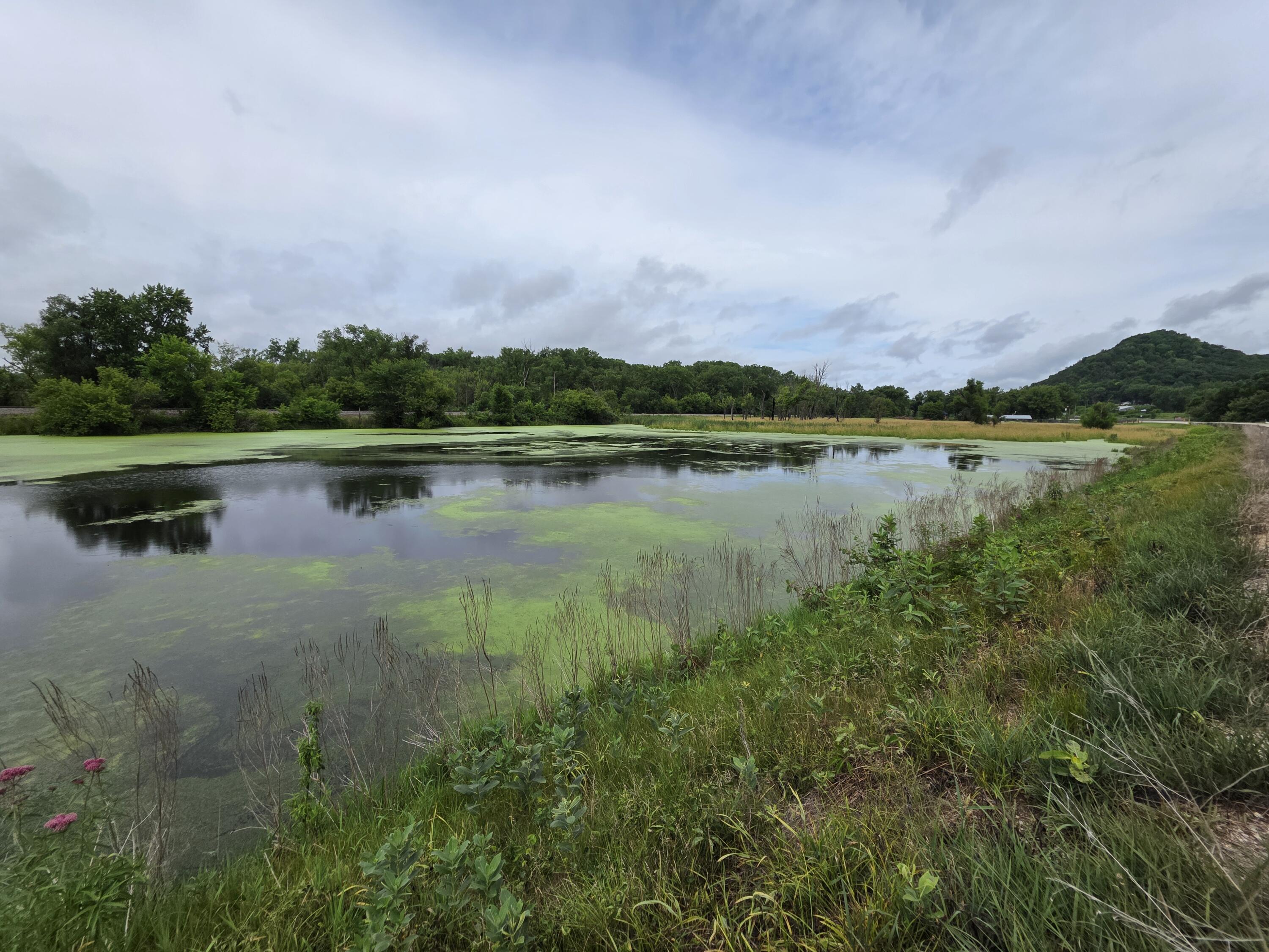 Lot 0 State Highway 35 Ferryville WI 54628 1970168 image1