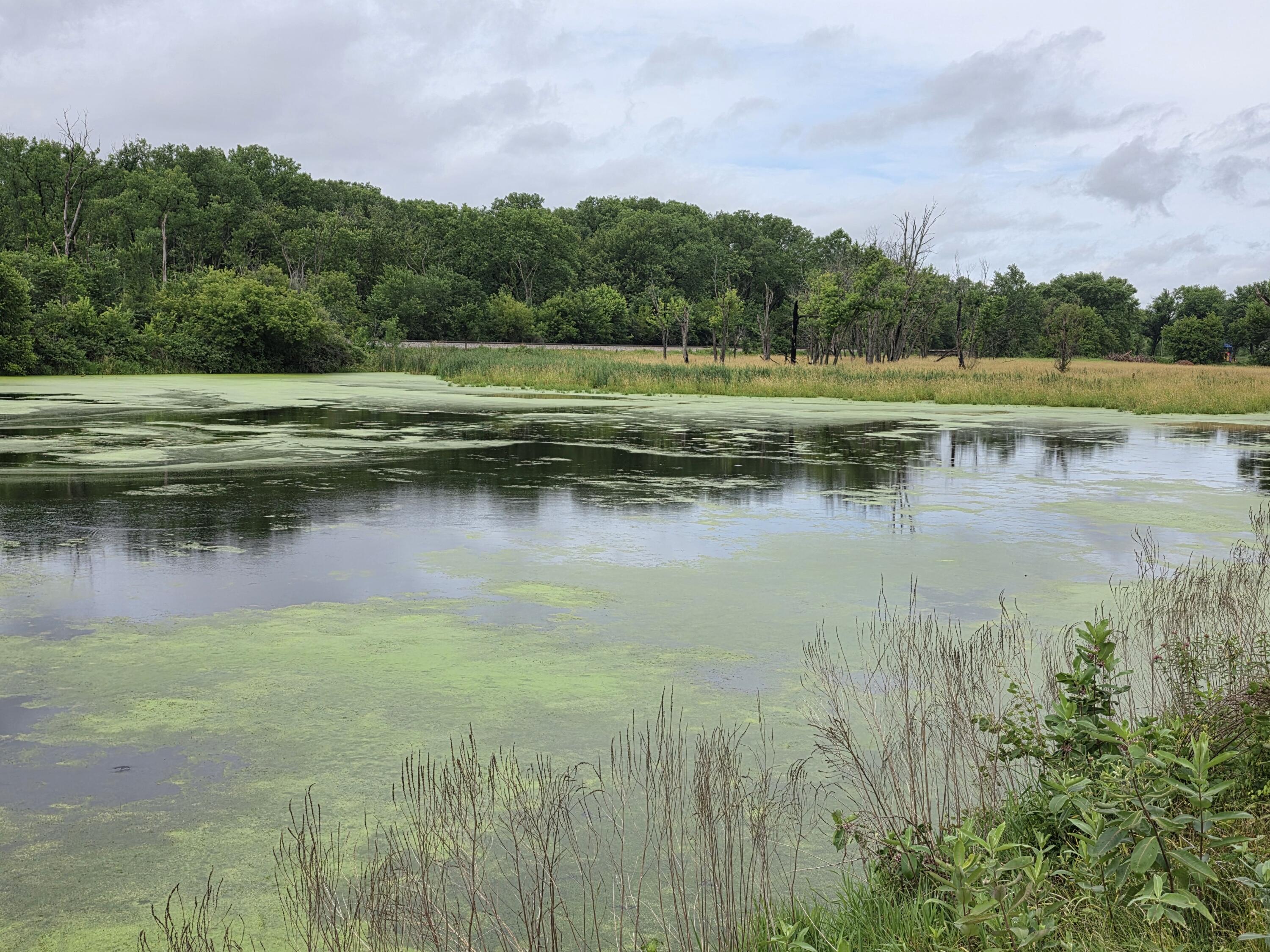 Lot 0 State Highway 35 Ferryville WI 54628 1970168 image4
