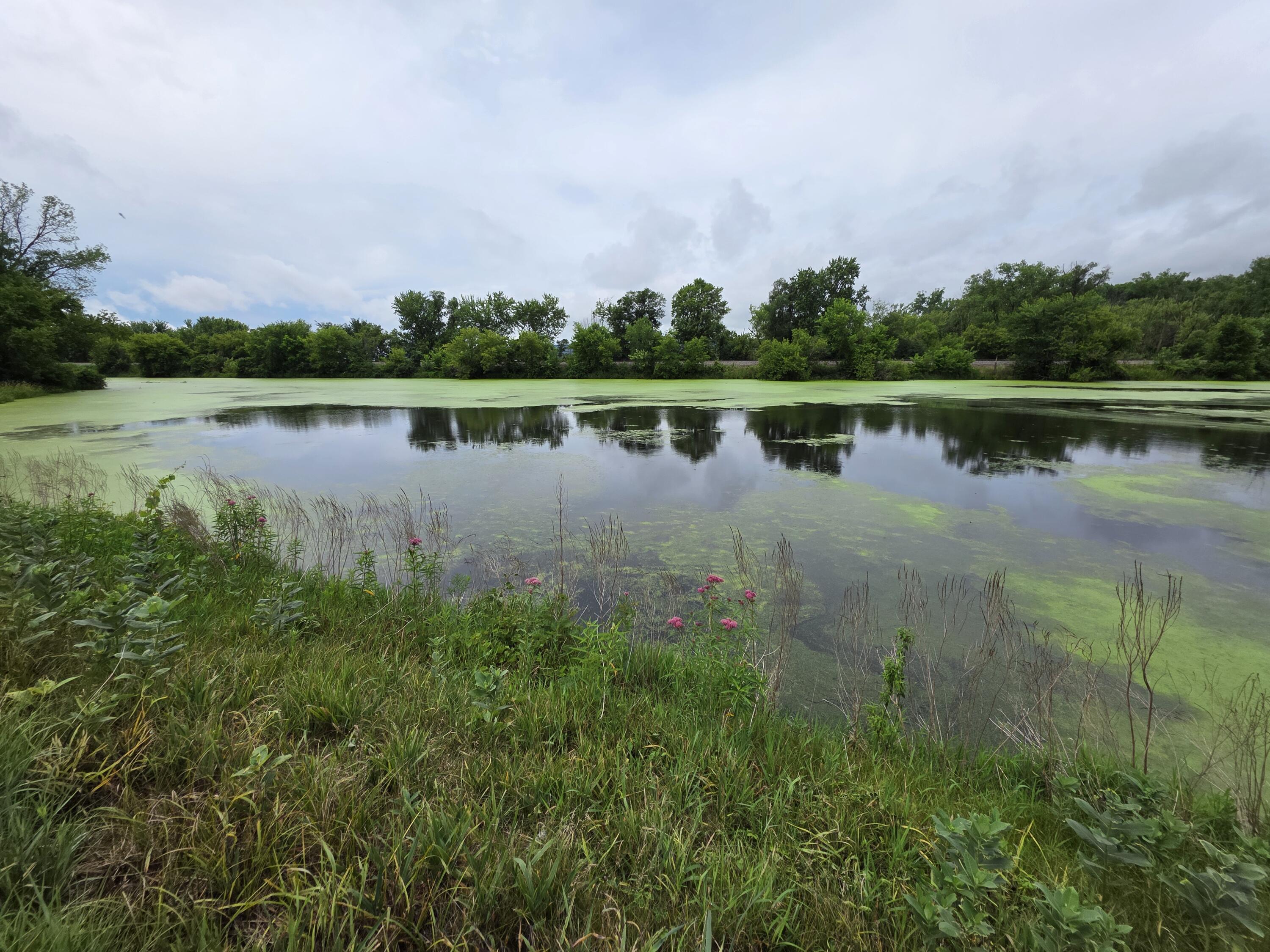 Lot 0 State Highway 35 Ferryville WI 54628 1970168 image6