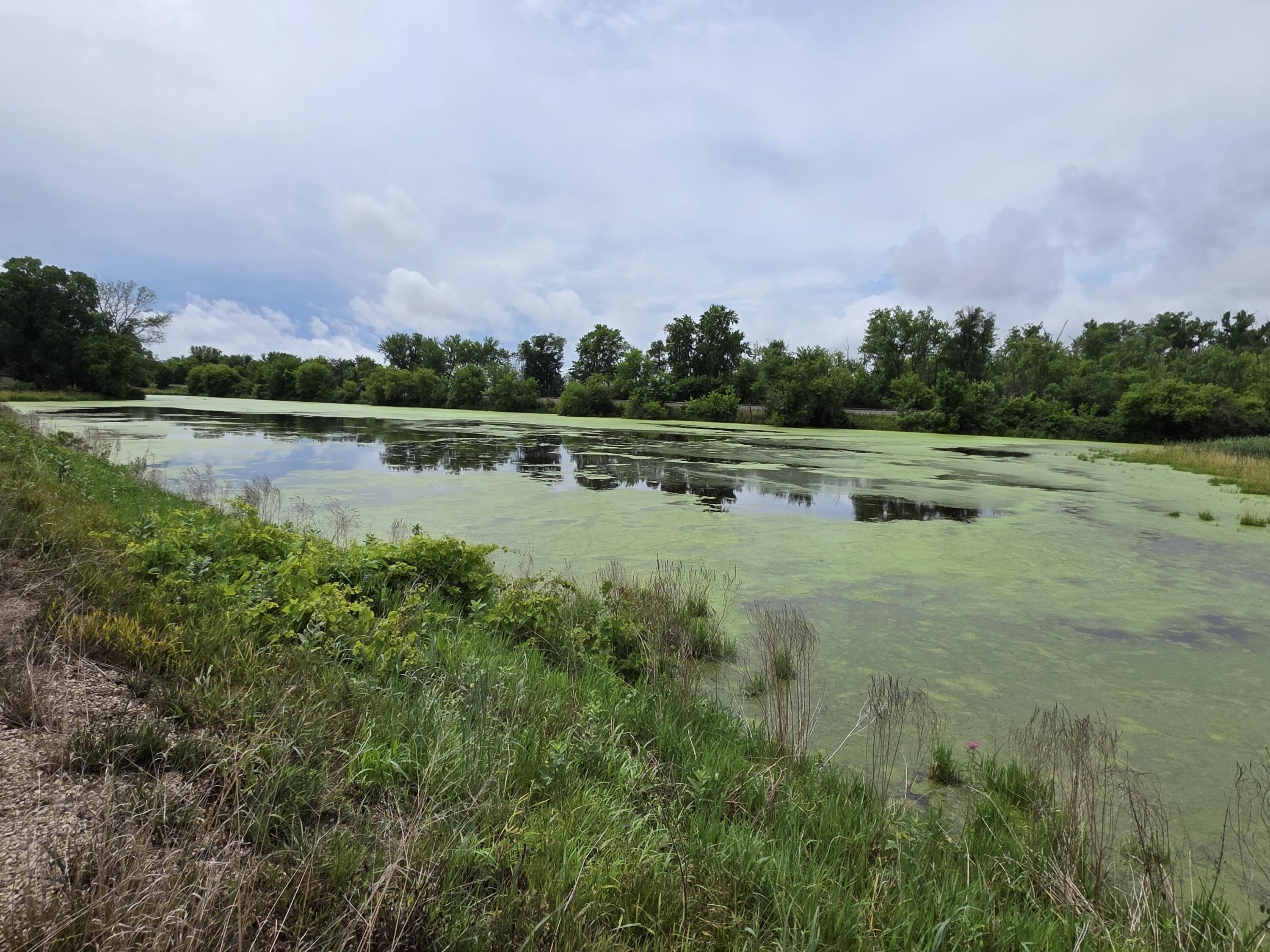Lot 0 State Highway 35 Ferryville WI 54628 1970168 image9