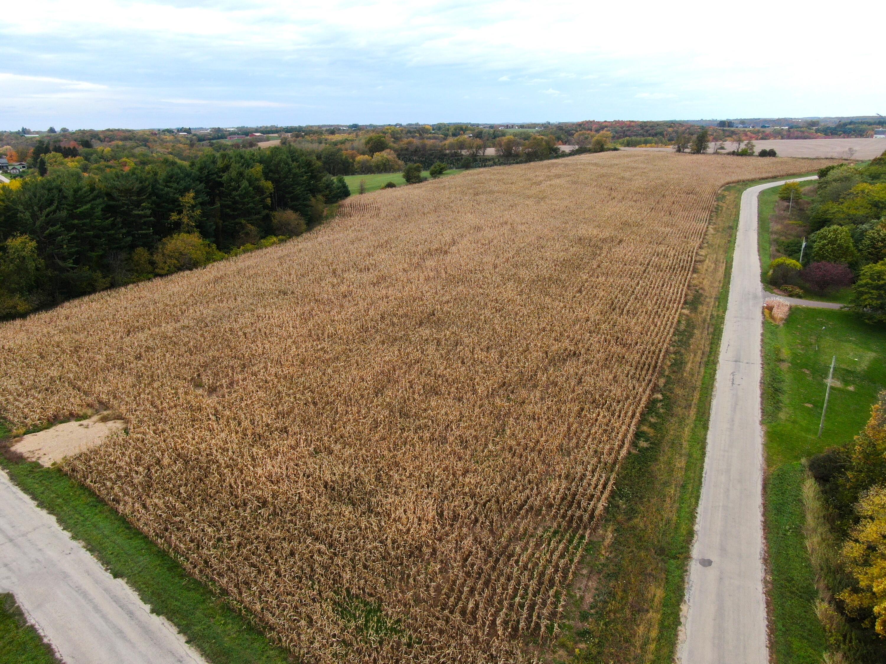 Lot 1 Garlick Christiana WI 54667 1854834 image1